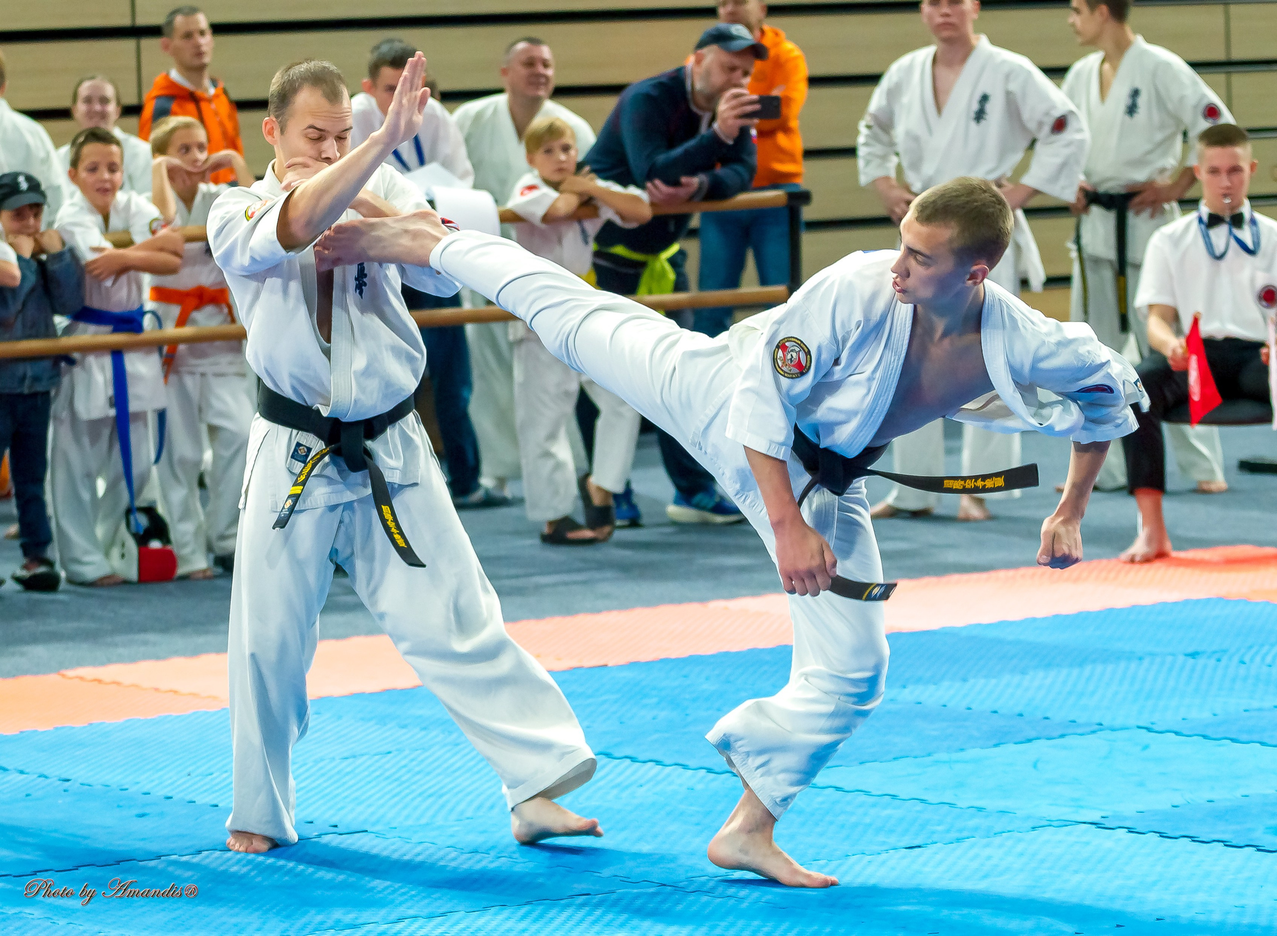 Первенство Московской области по Киокушин в СК «Жаворонки». Репортажная съемка в Москве и области. Анималистика