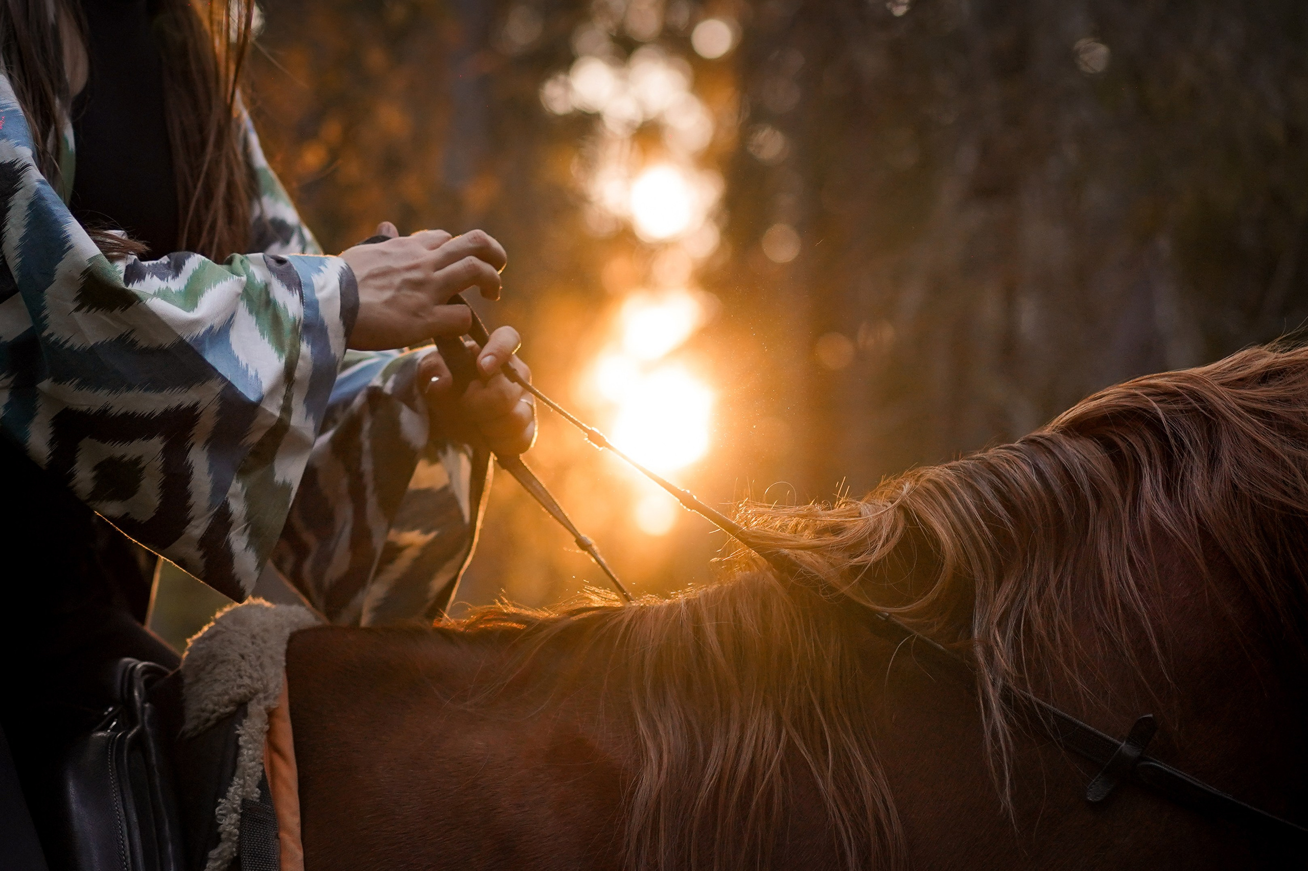Лера Джон и Диамант. Фотограф-анималист в Санкт-Петербурге Яна Мартынова