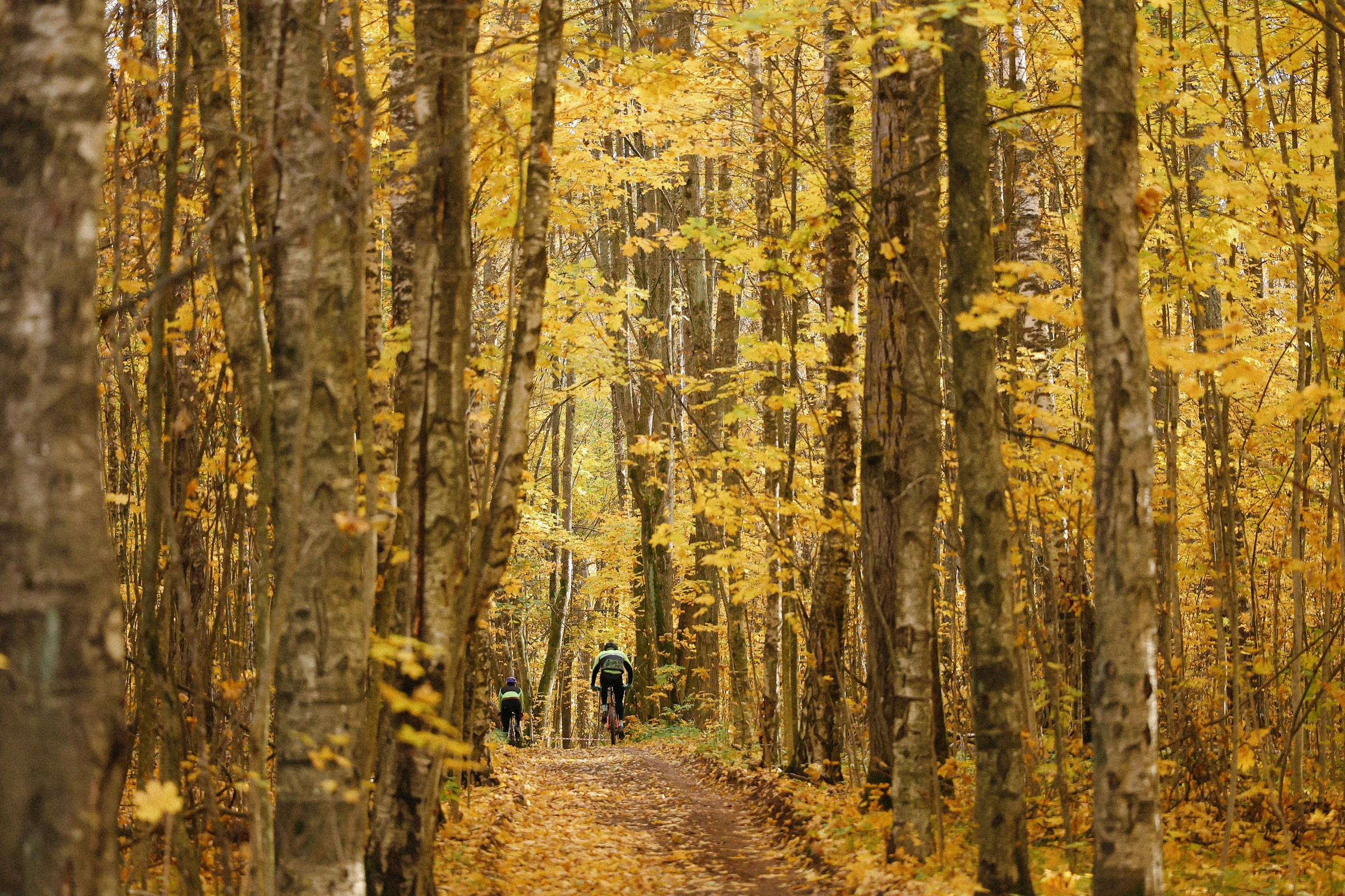 /РЕПОРТАЖ/ ТИПО-ЦИКЛОКРОСС-3. 2024. Свадебный фотограф Великий Новгород Станислав Кособудский