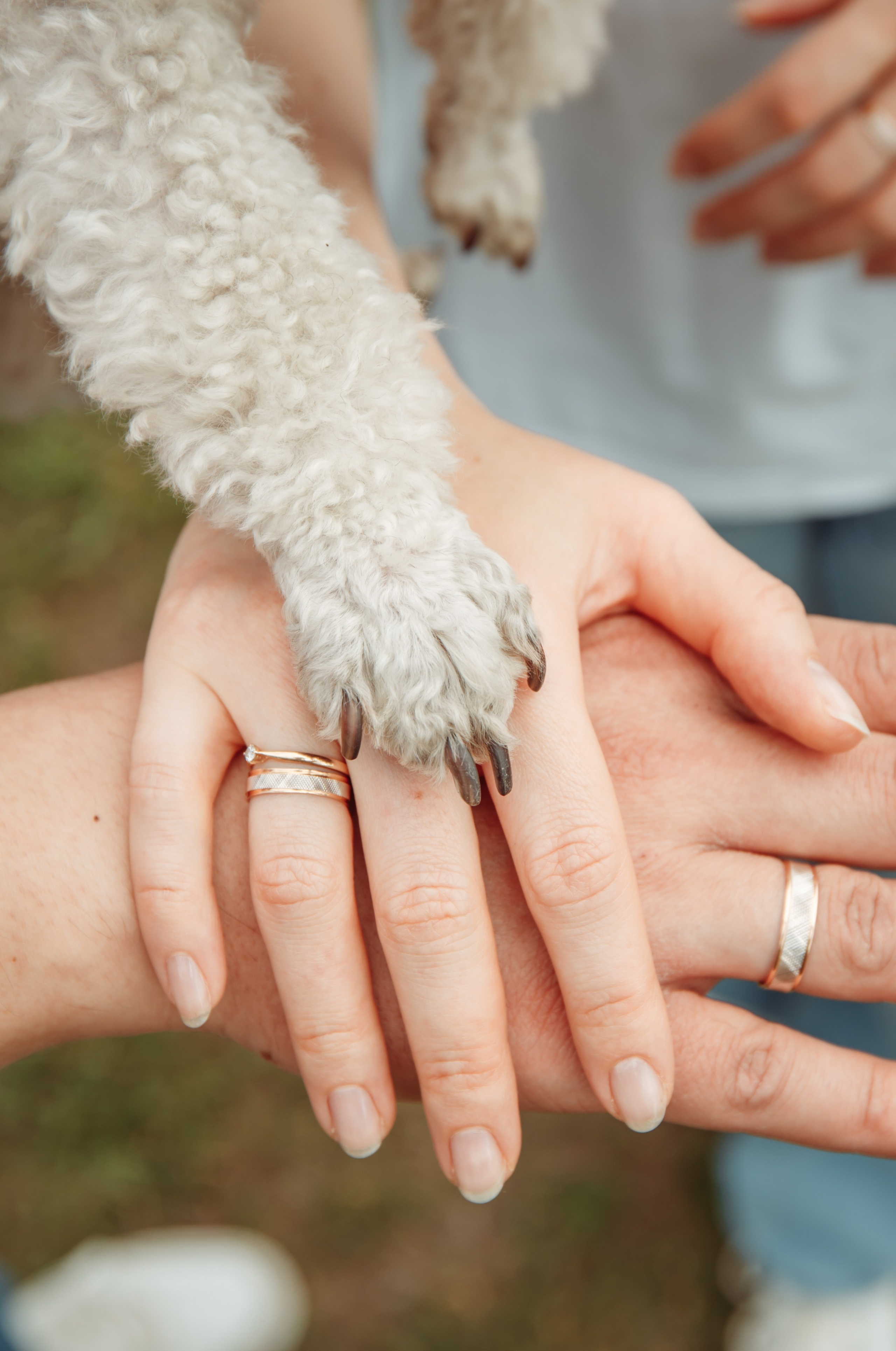 Семейные фото. Семейный фотограф из Новошахтинска Антонина Змиенко