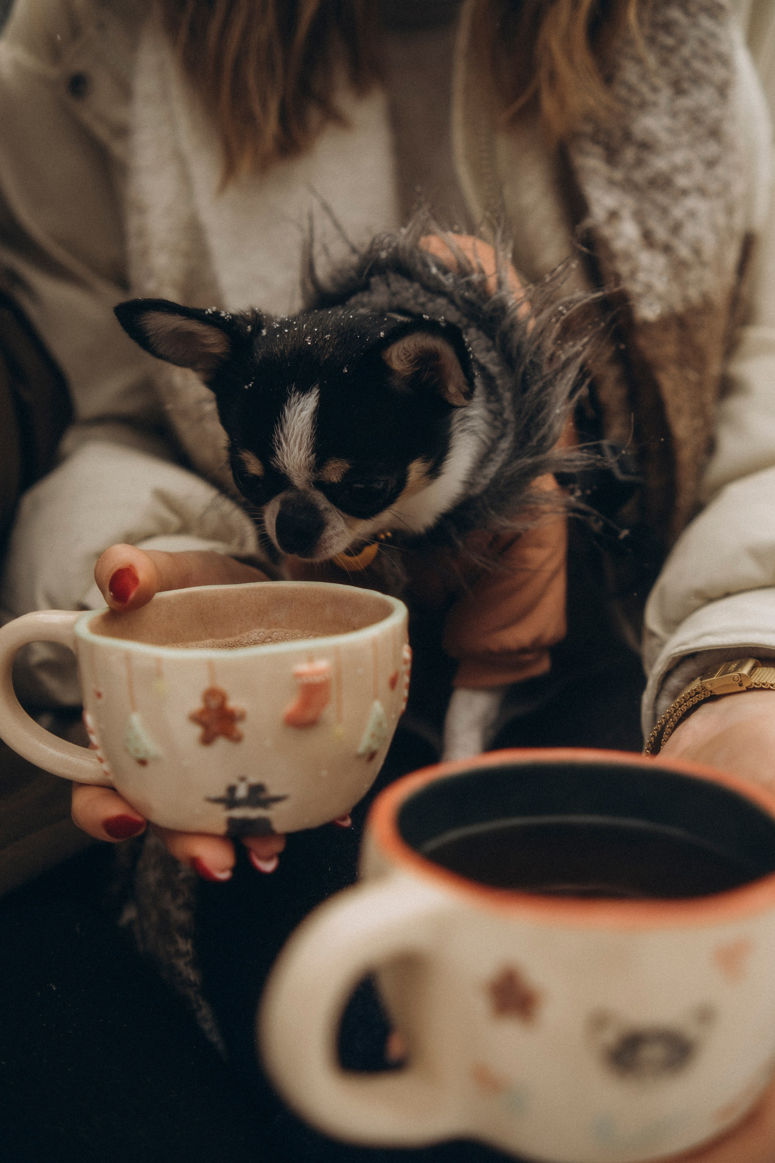 Зимняя прогулка. Видеограф и фотограф Анна Грачева г. Москва