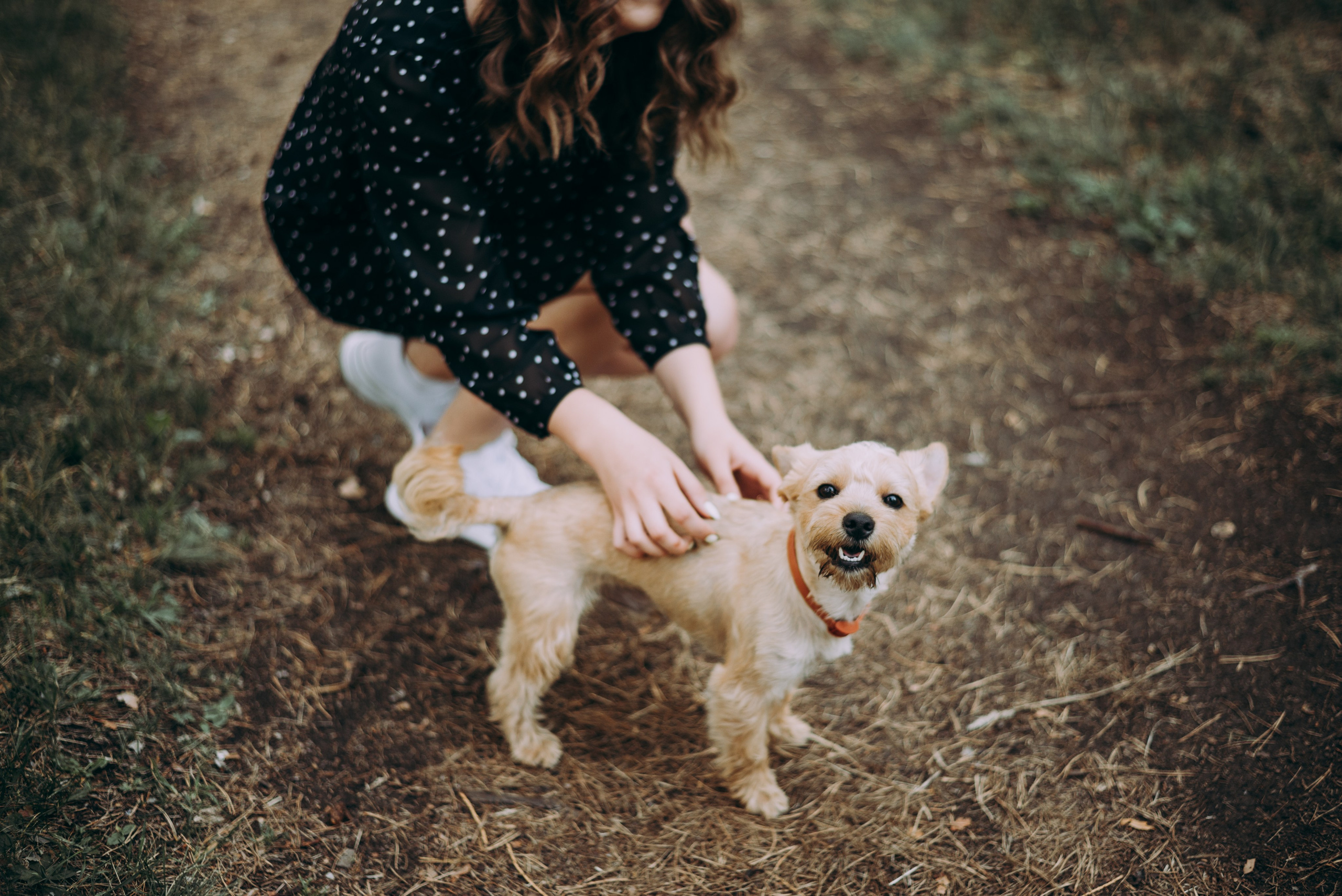 Прогулочная фотосессия в парке