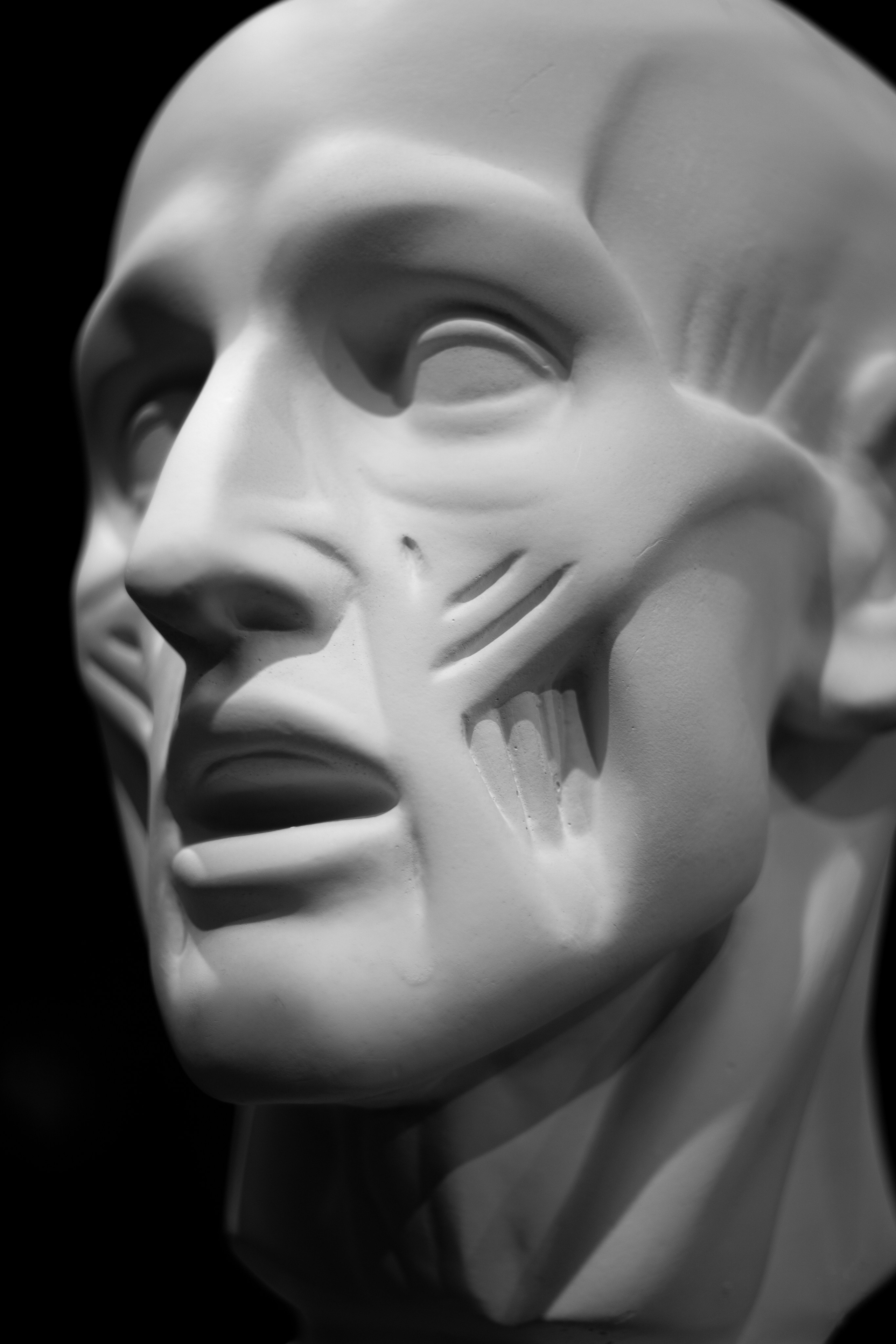 ЧЕРНО-БЕЛЫЕ ФОТОГРАФИИ. Никита Аничкин фото и видео оператор из России