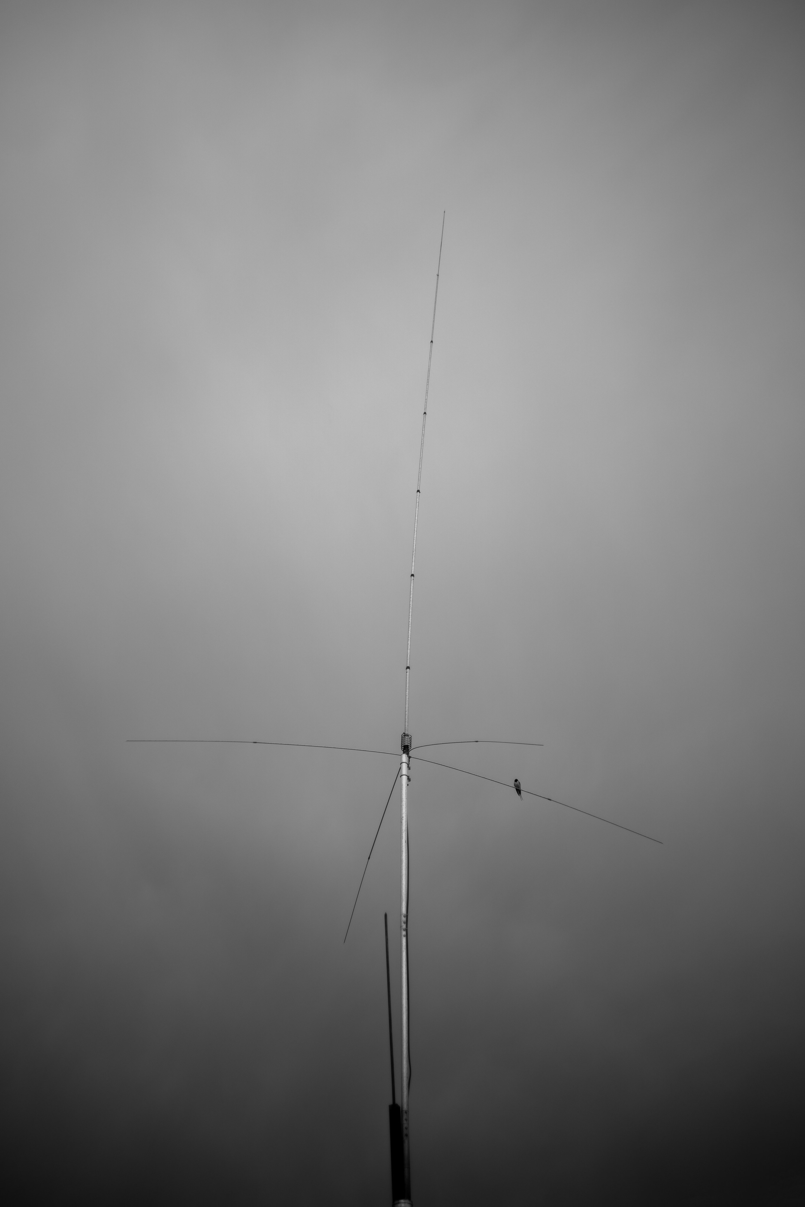 ЧЕРНО-БЕЛЫЕ ФОТОГРАФИИ. Никита Аничкин фото и видео оператор из России