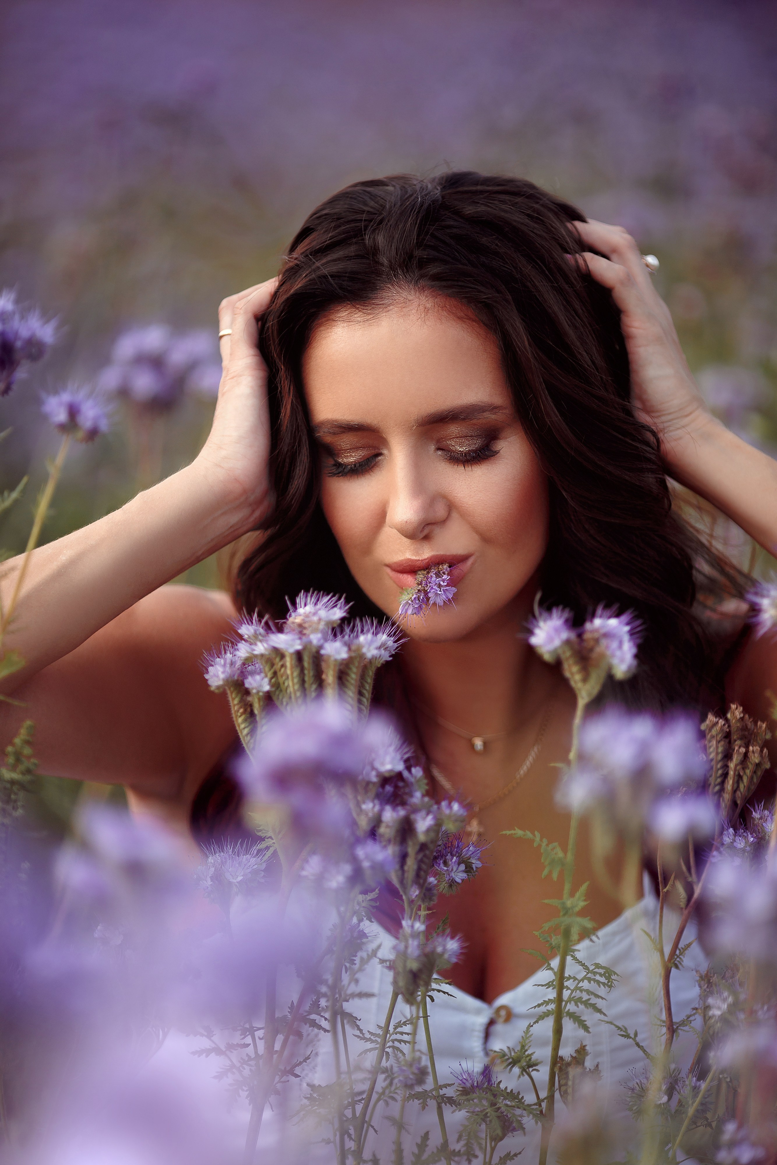 Поля сиреневые. Фотограф в Иваново и других городах Ирина Сметанкина