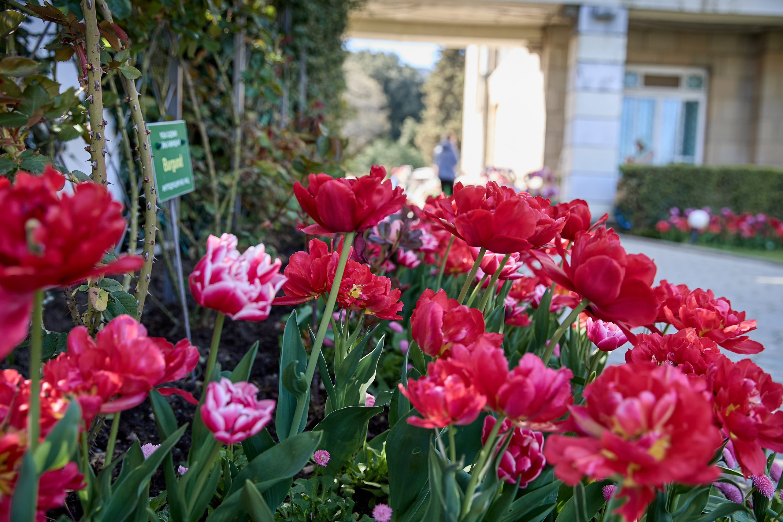 КРЫМ. Репортажный и мужской фотограф в Краснодаре. Фотограф в Краснодаре