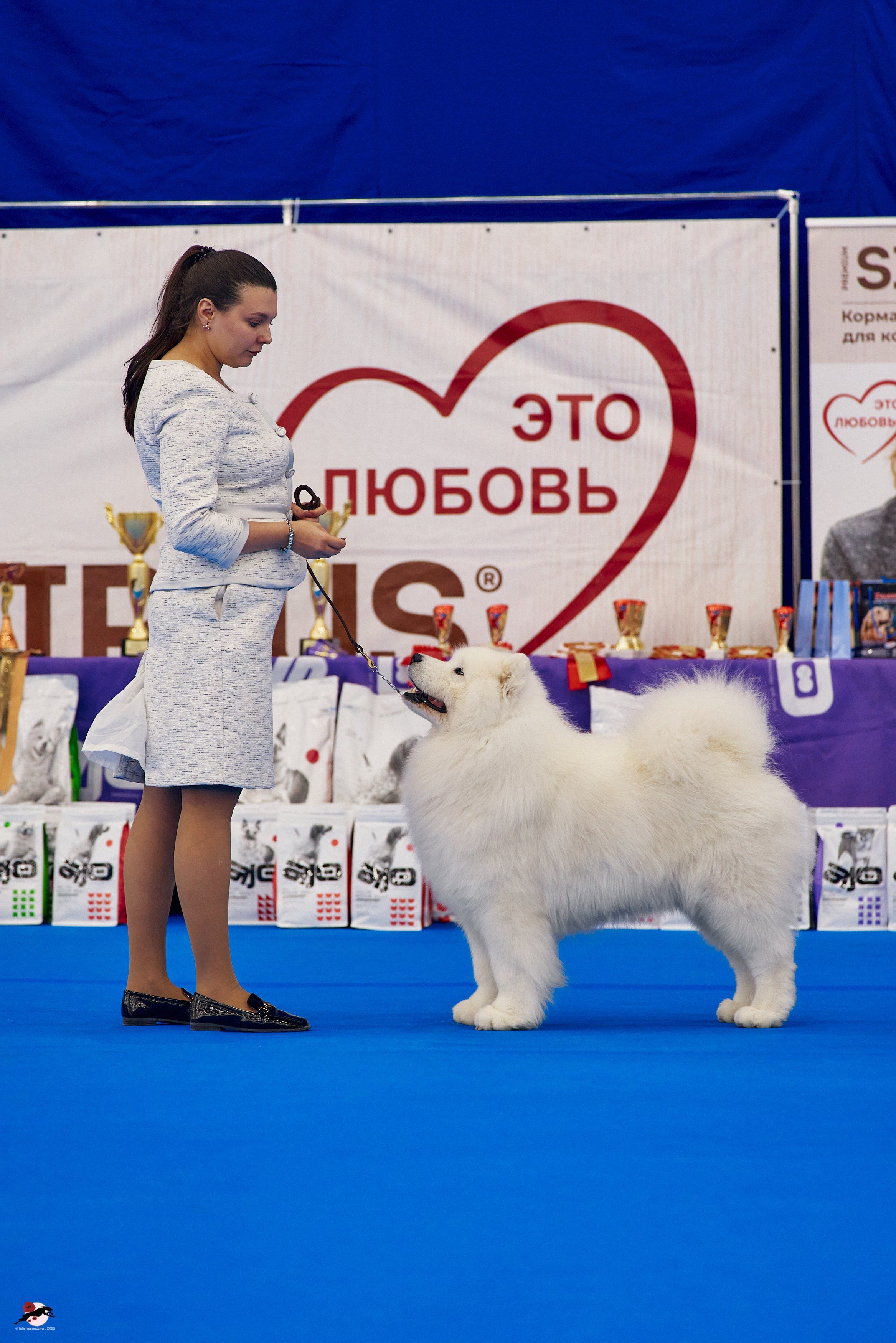 27.04.2025 | "Петербург-Элита 2025" & «КУБОК «ЭЛИТЫ»-2025»