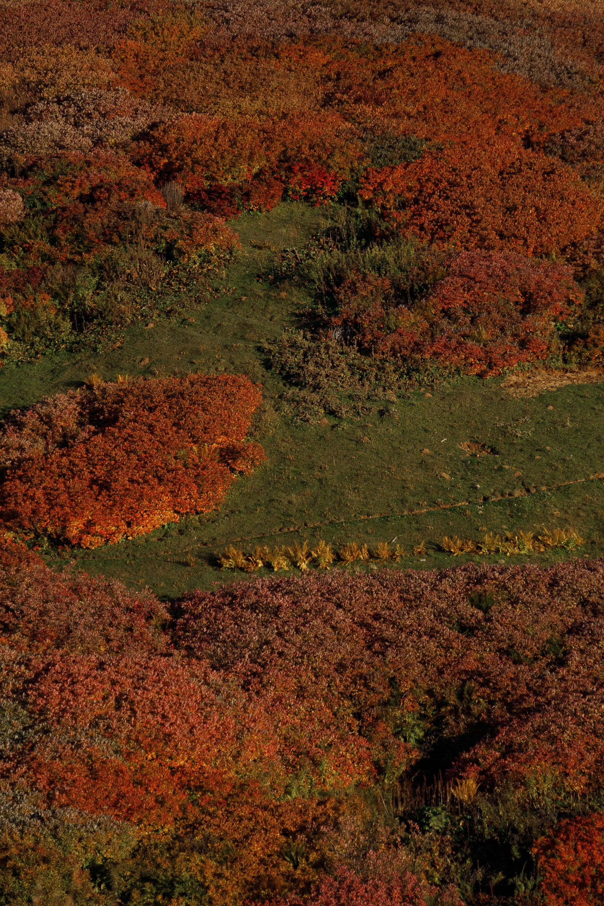 Свадьба в горах на закате