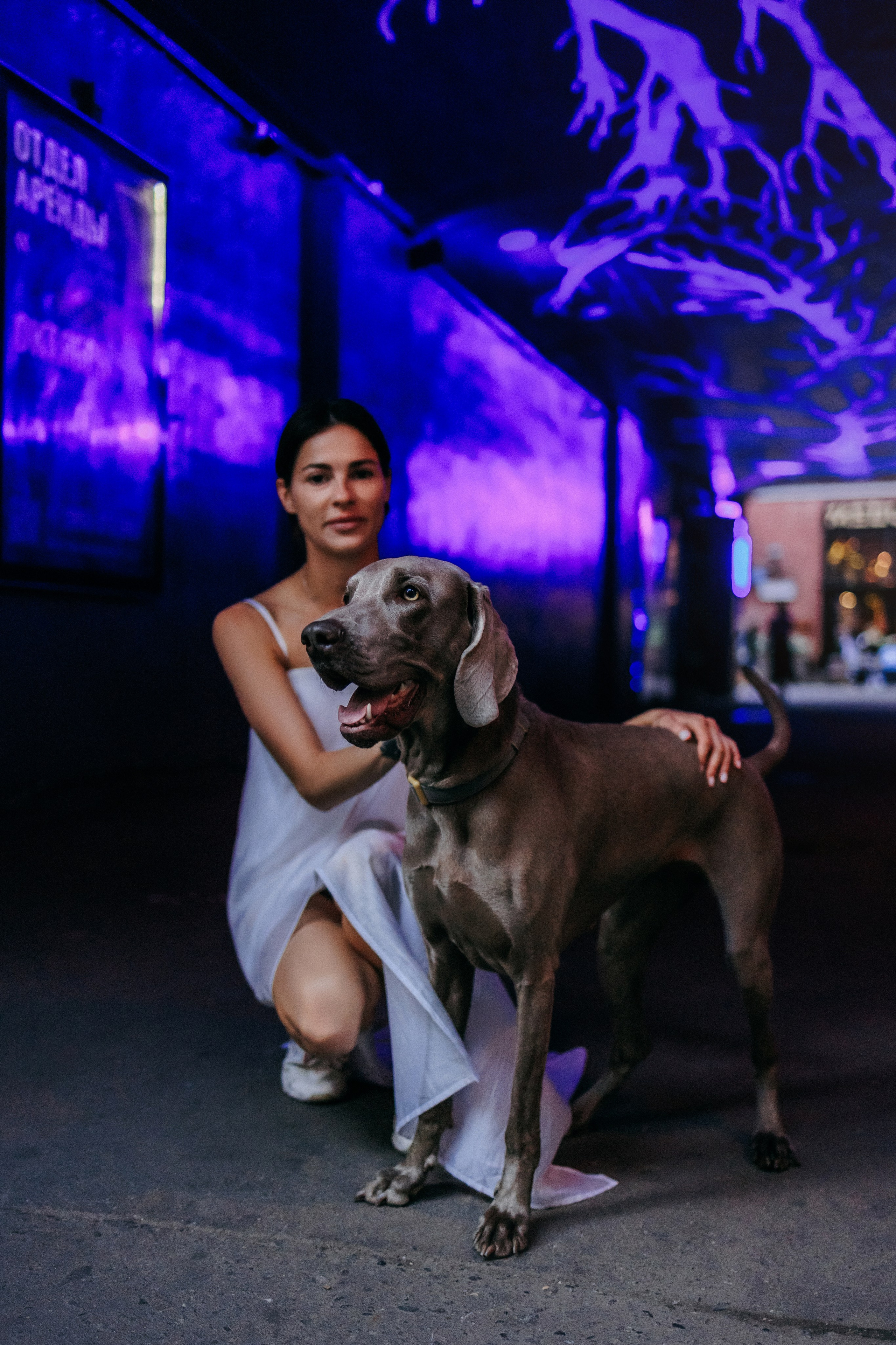 Соня и Майли. Фотограф-анималист Елена Радченко, Москва