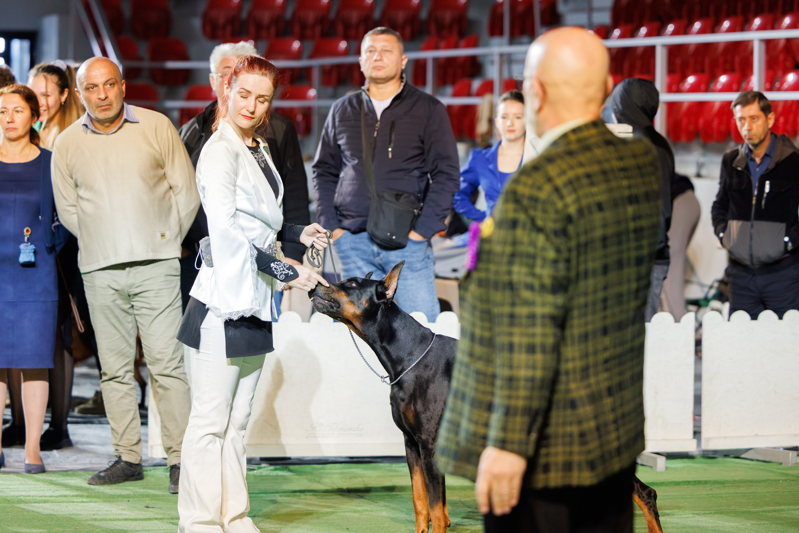 Грузия,Телави 2хCACIB 19-20.10.2024. Фотограф-анималист Юлия Германика