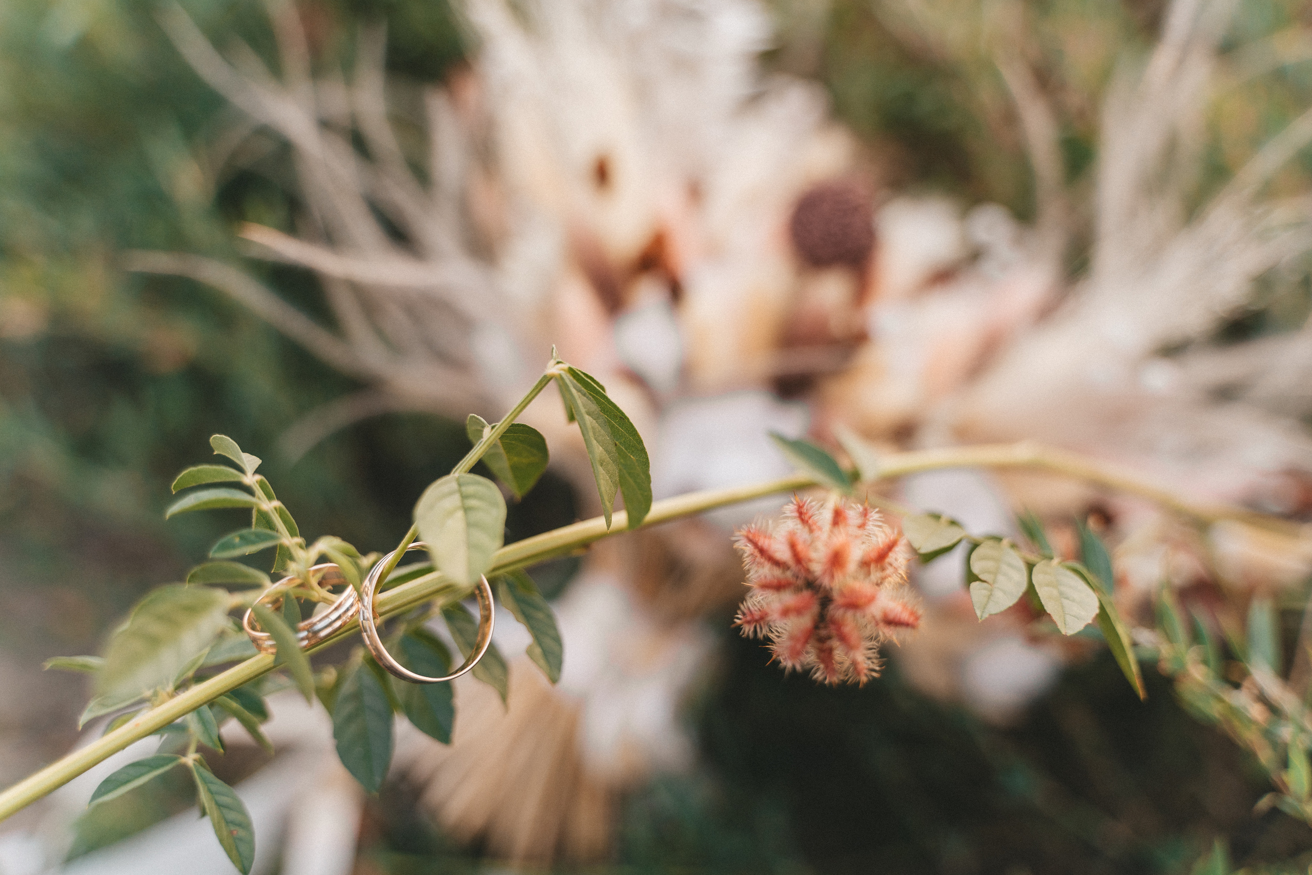 Берег реки. Свадебный и семейный фотограф в Краснодаре Миненко Кристина