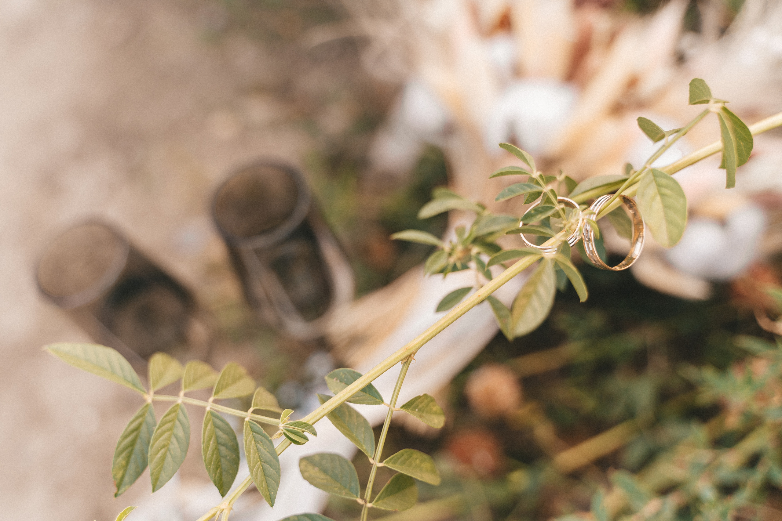 Берег реки. Свадебный и семейный фотограф в Краснодаре Миненко Кристина