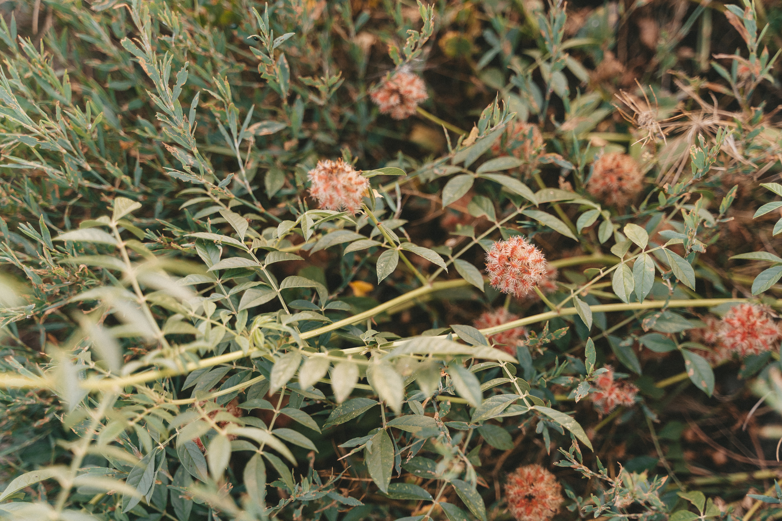 Берег реки. Свадебный и семейный фотограф в Краснодаре Миненко Кристина