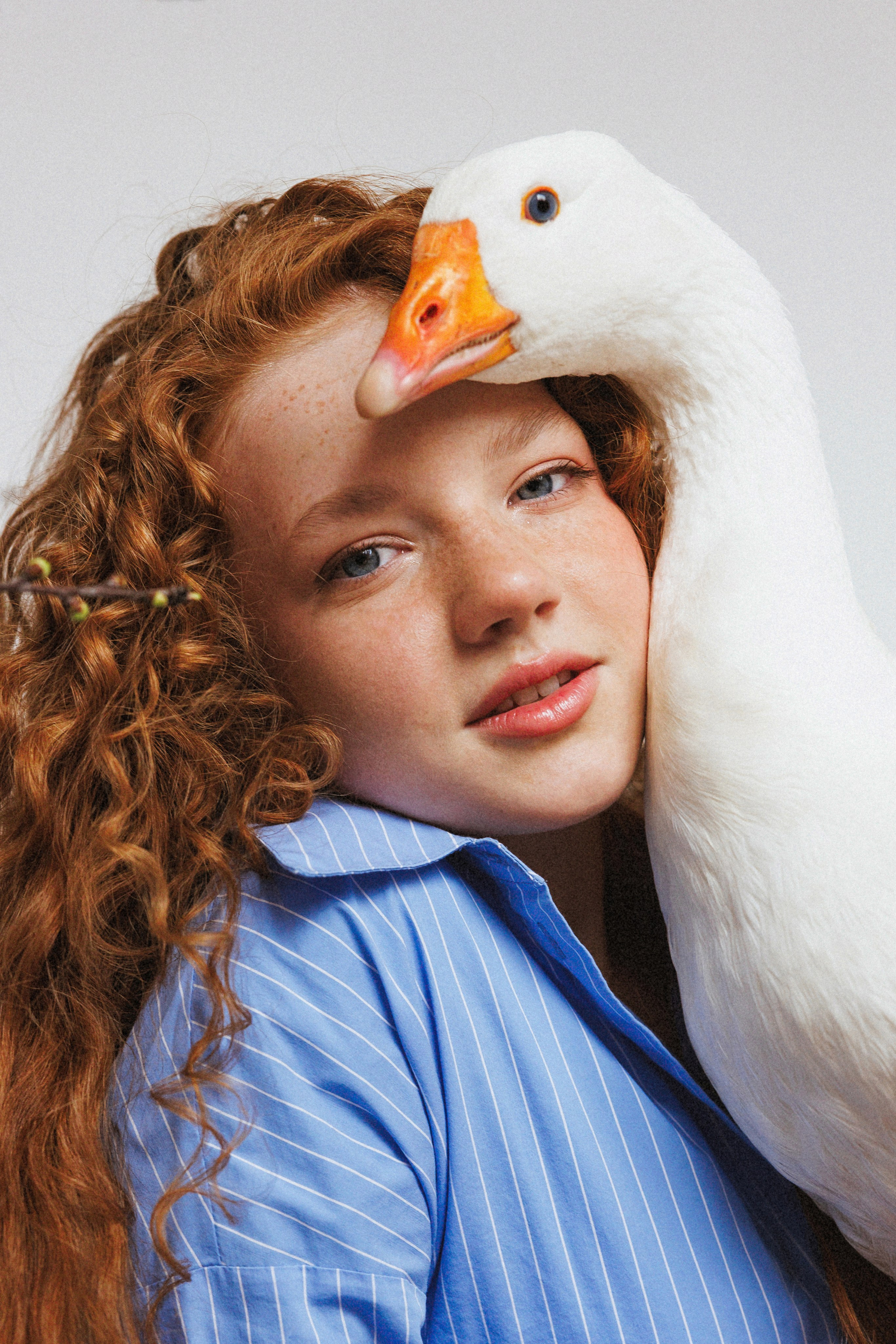 Фотосессия с Гусем в фотостудии «Lite, город Краснодар. Семейный и детский фотограф в Краснодаре Анна Трашкова