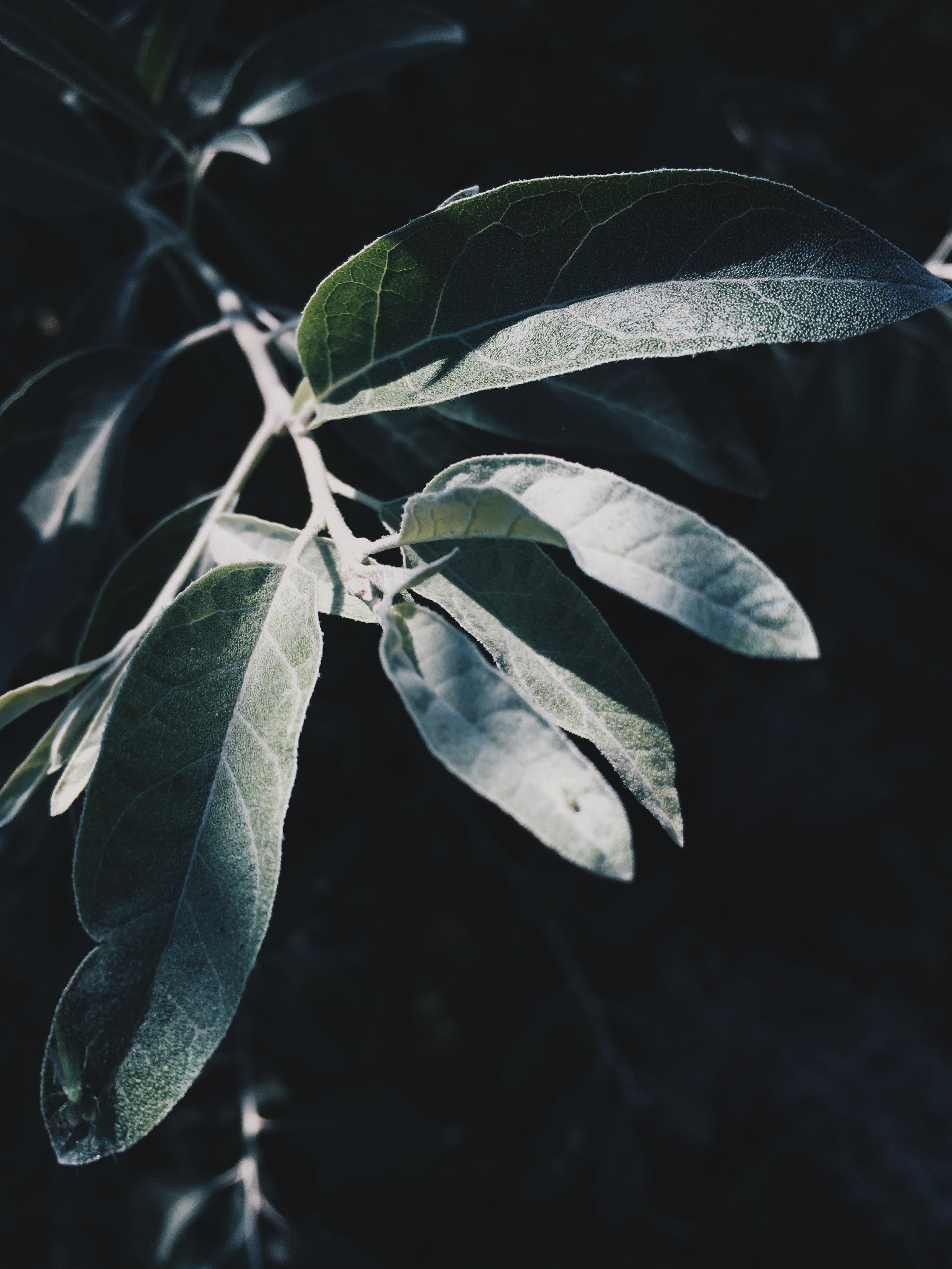 Визуальный дневник. Портретный фотограф в Москве Гахраманова Екатерина