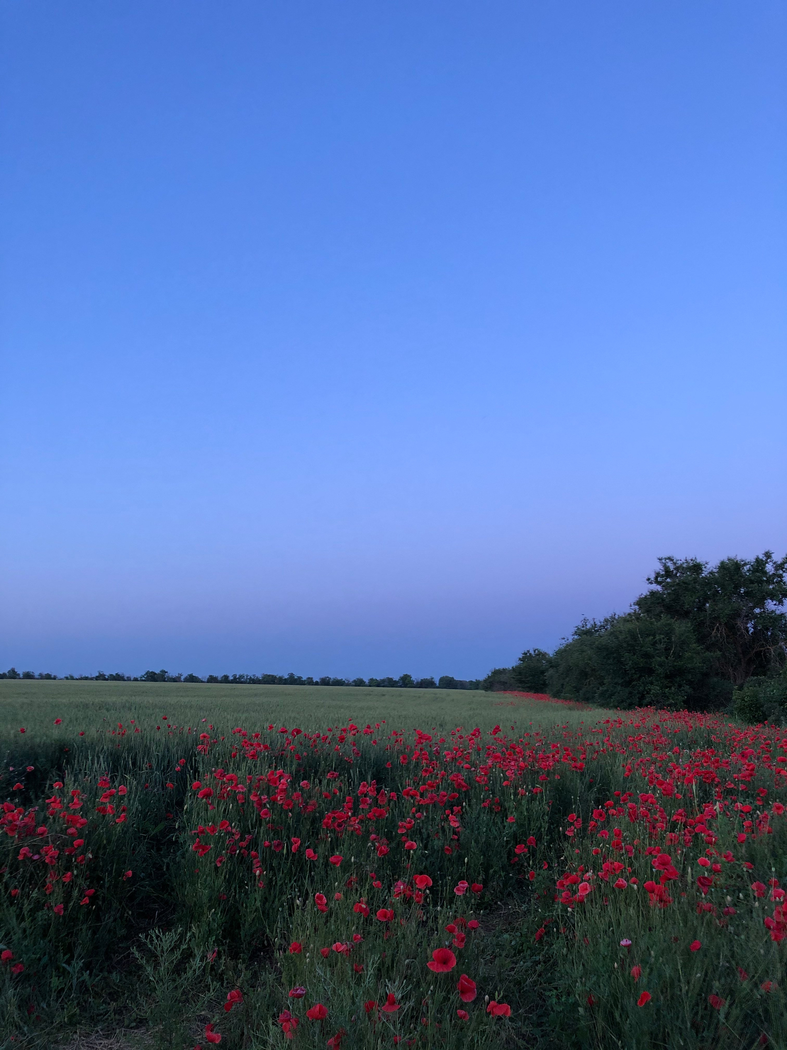 Визуальный дневник. Портретный фотограф в Москве Гахраманова Екатерина