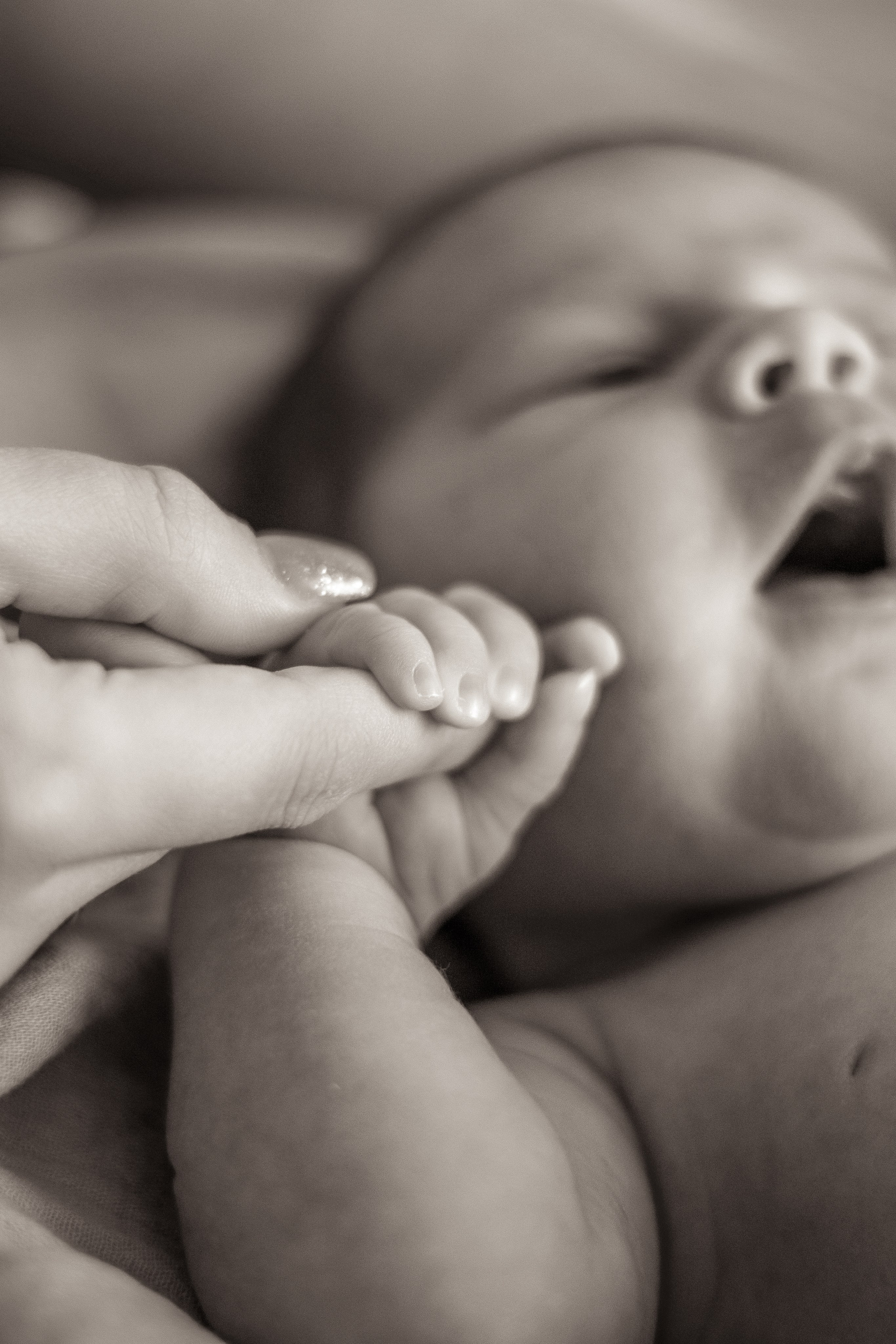 Newborn. Семейный фотограф в Озёрах и Коломне