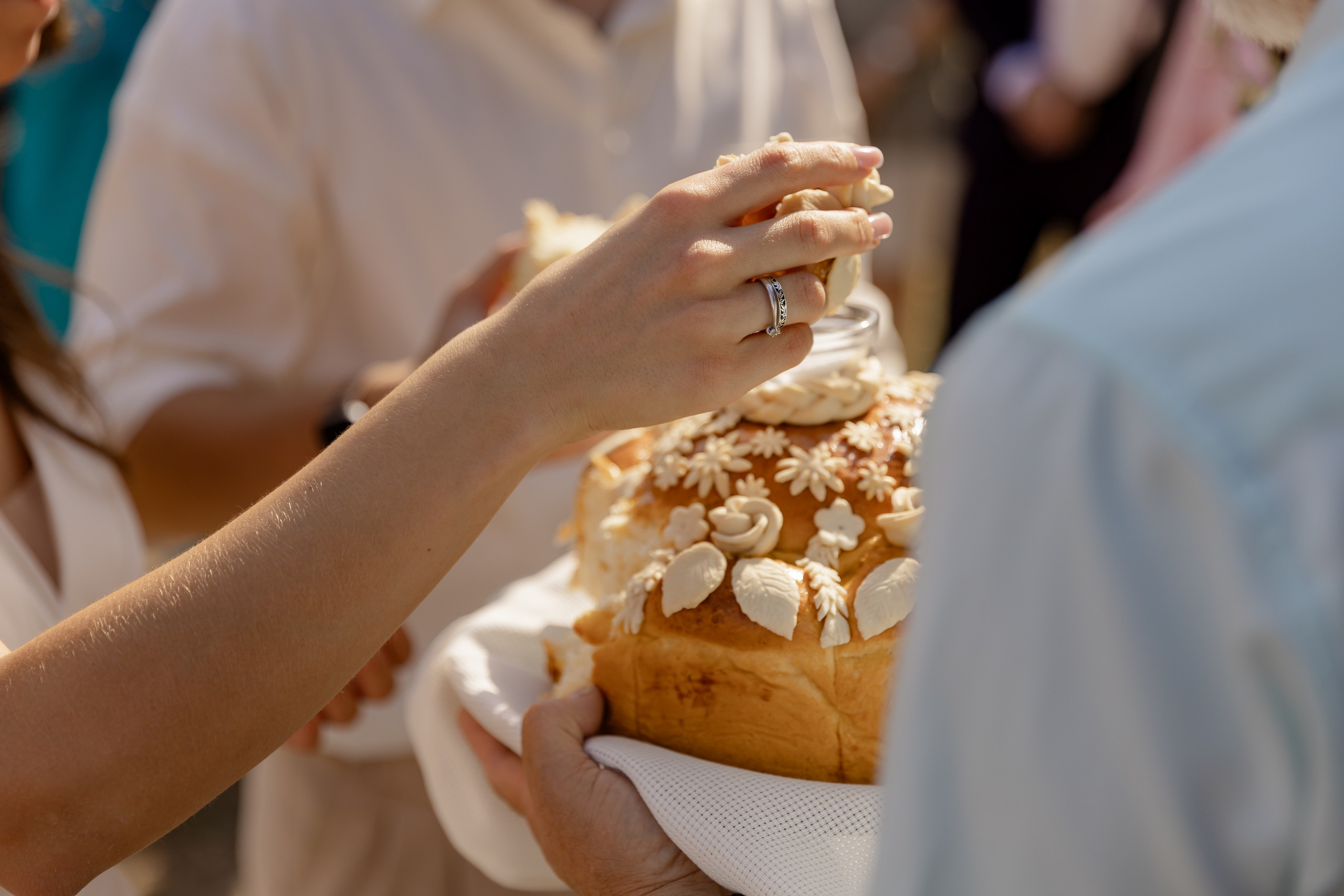 Виноградники. Dima Lemeshevsky