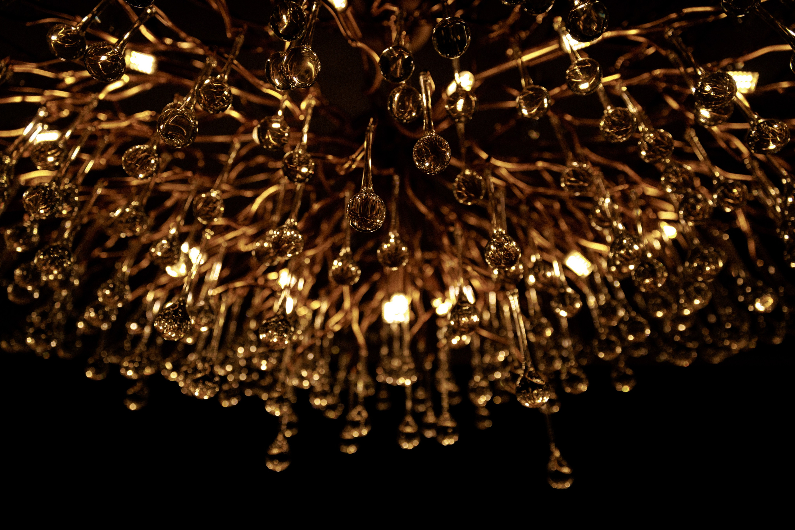 Wedding day 25/04/2025. Dima Lemeshevsky