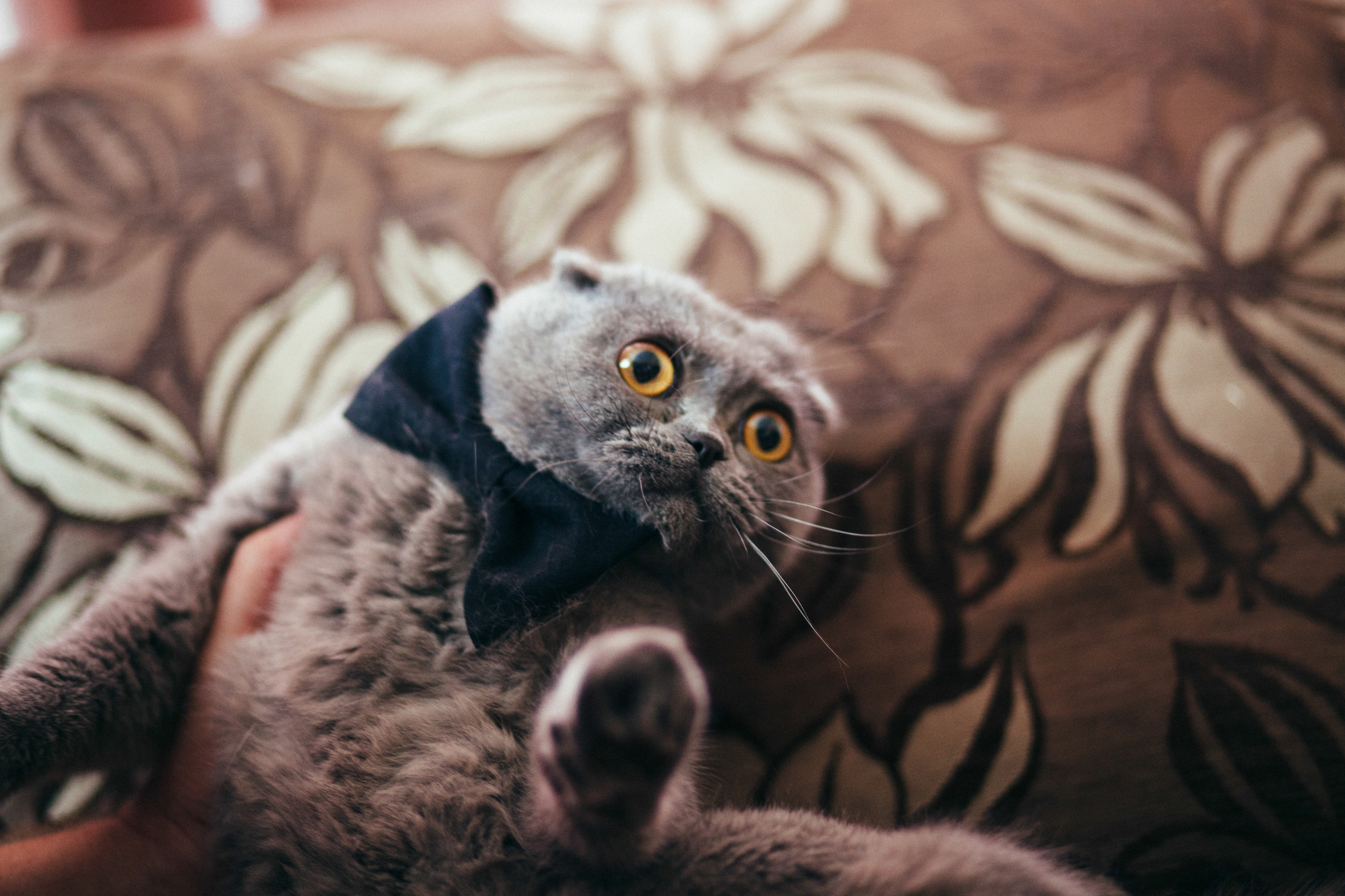 Дима и Настя. Алматы. Санаторий Алатау. Свадебный фотограф в Алматы Николай Киреев