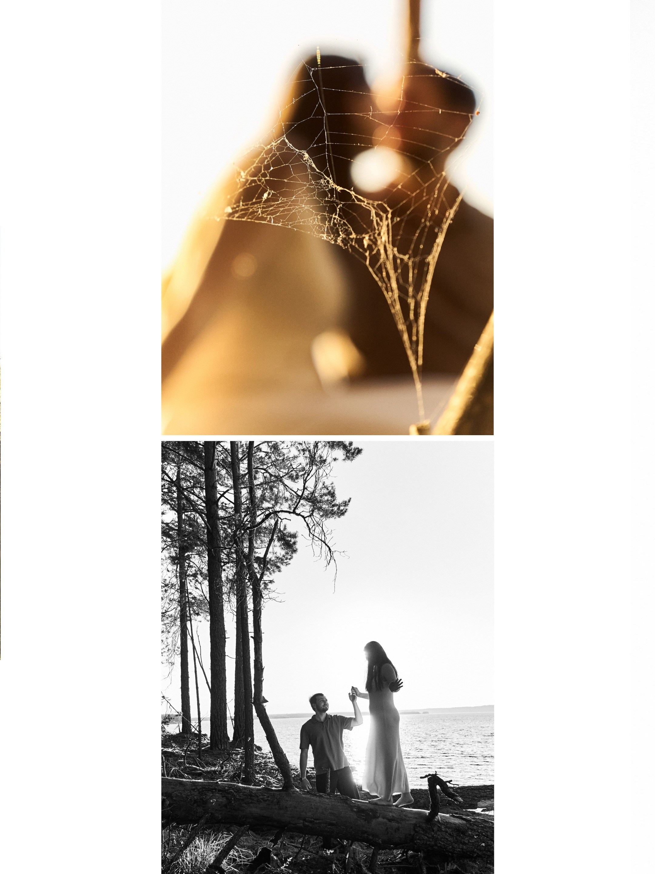 Н&В. Главная