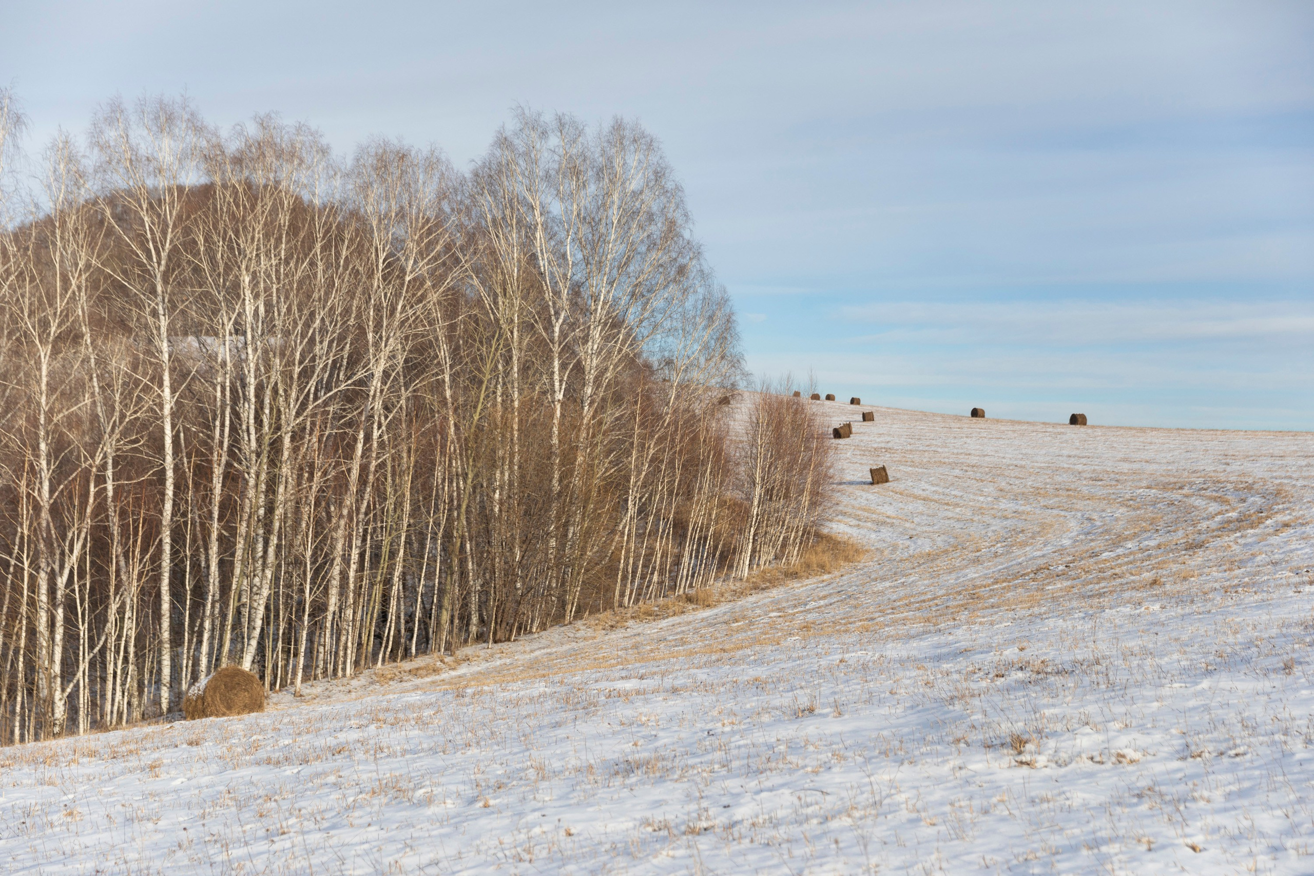 Алтай в декабре. Марина Захарова — Фотограф. Москва / Marina Zakharova — Photographer