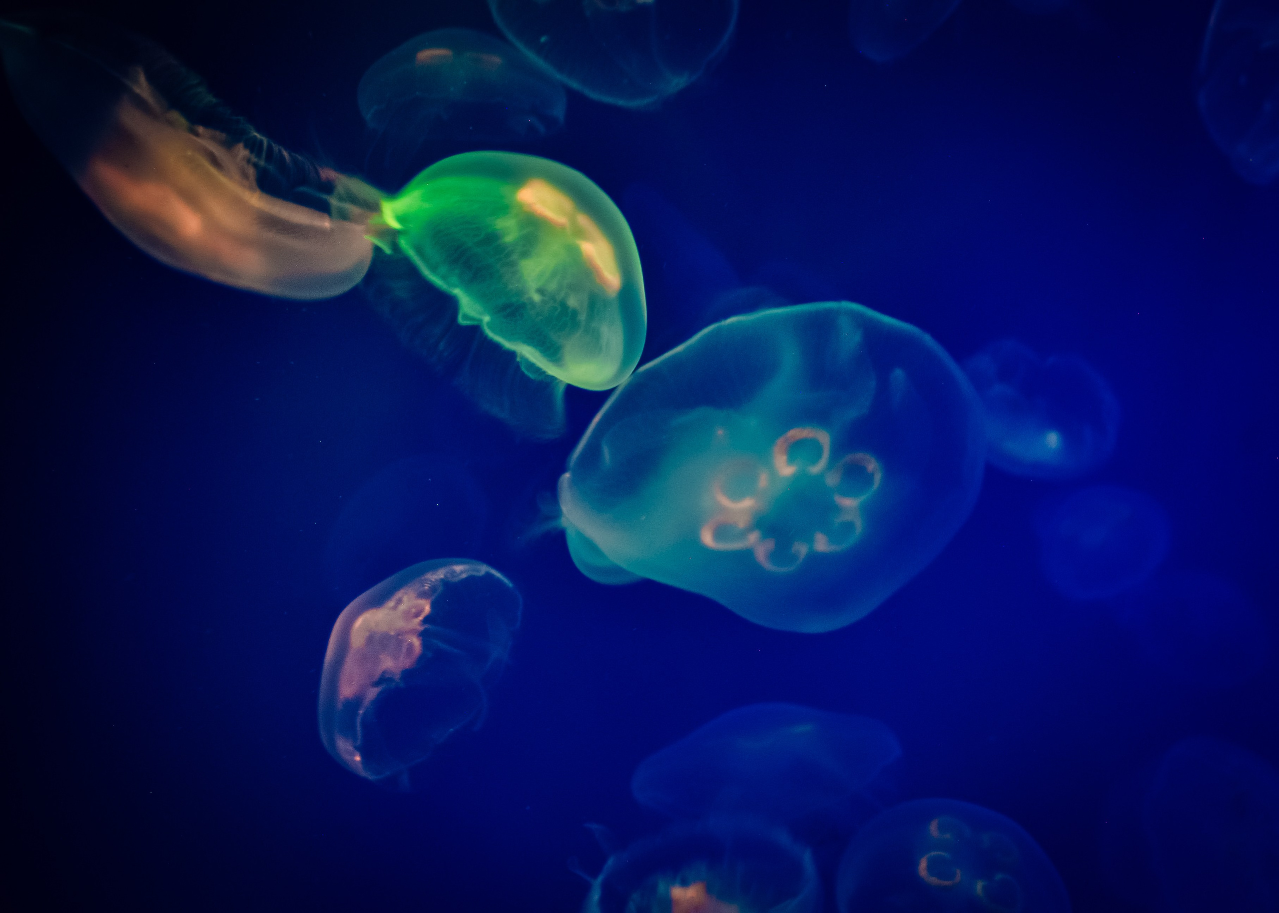 Аквапарк. Портретный фотограф DanilNabody