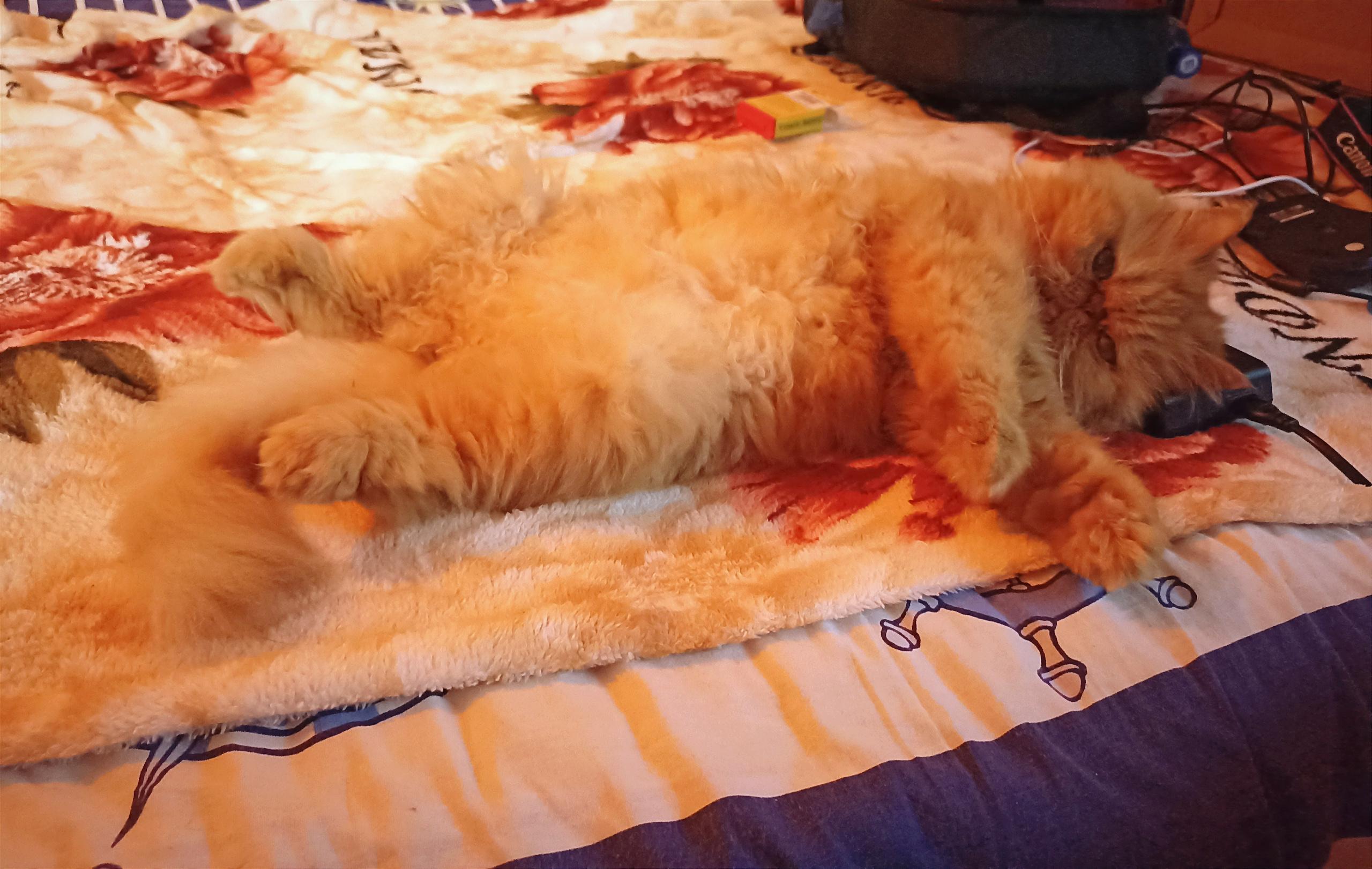 Мобильная фотография. Фотограф г. Владивосток