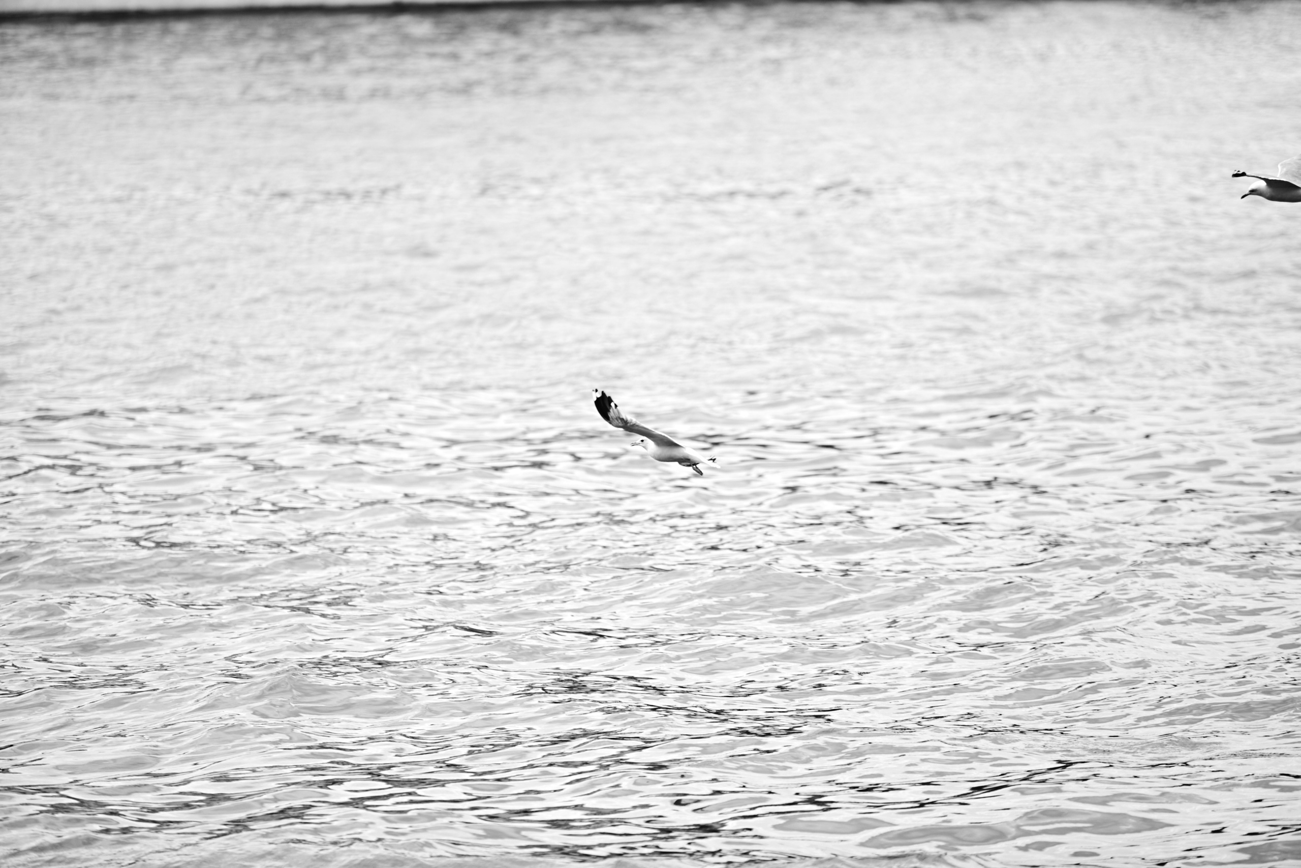 Чб фотосессия на набережной в Москве. Фотограф Продюсер в горах КБР / Москва  Нальчик Горы