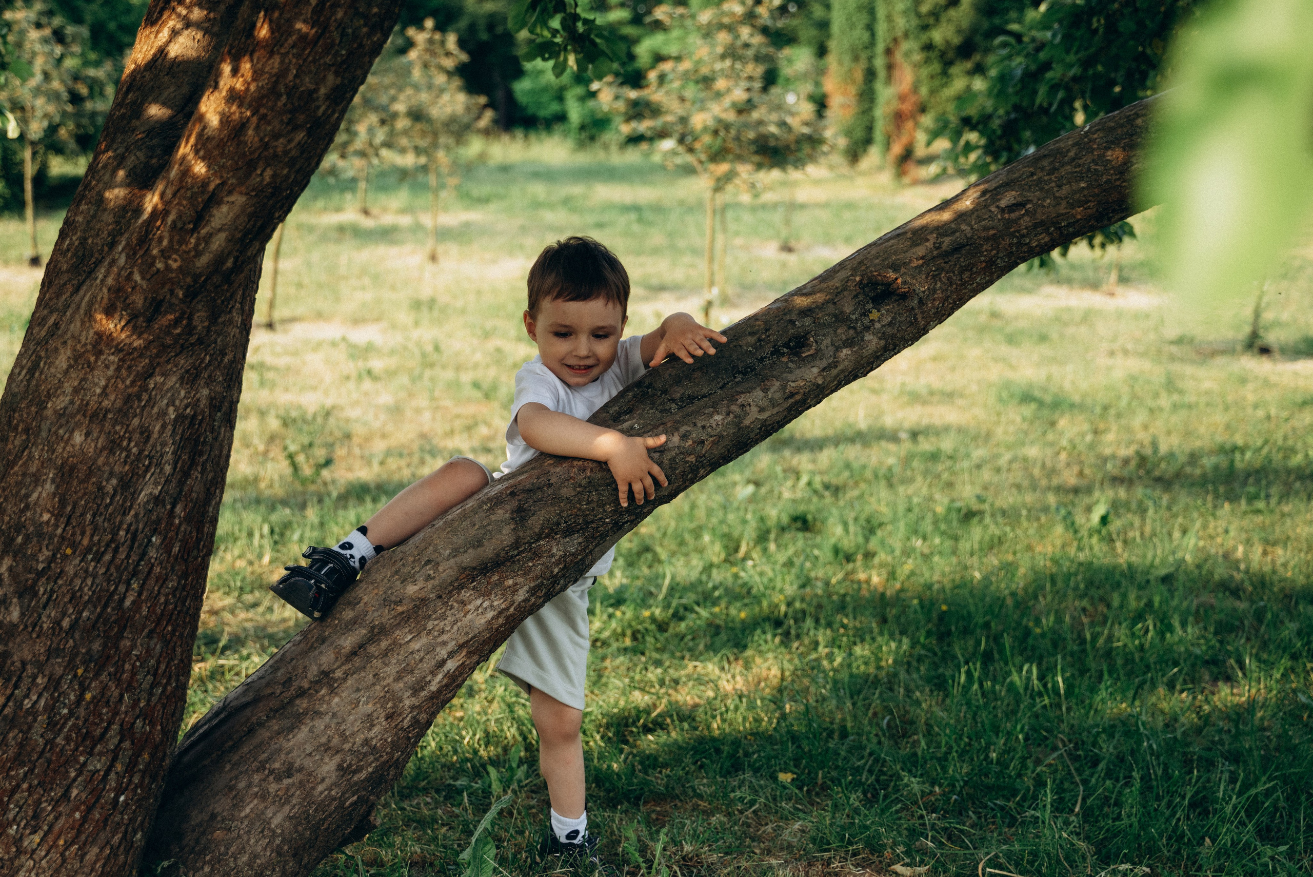 Семейная прогулка в Лошицком парке. Семейный фотограф в Минске Дарья Дреко