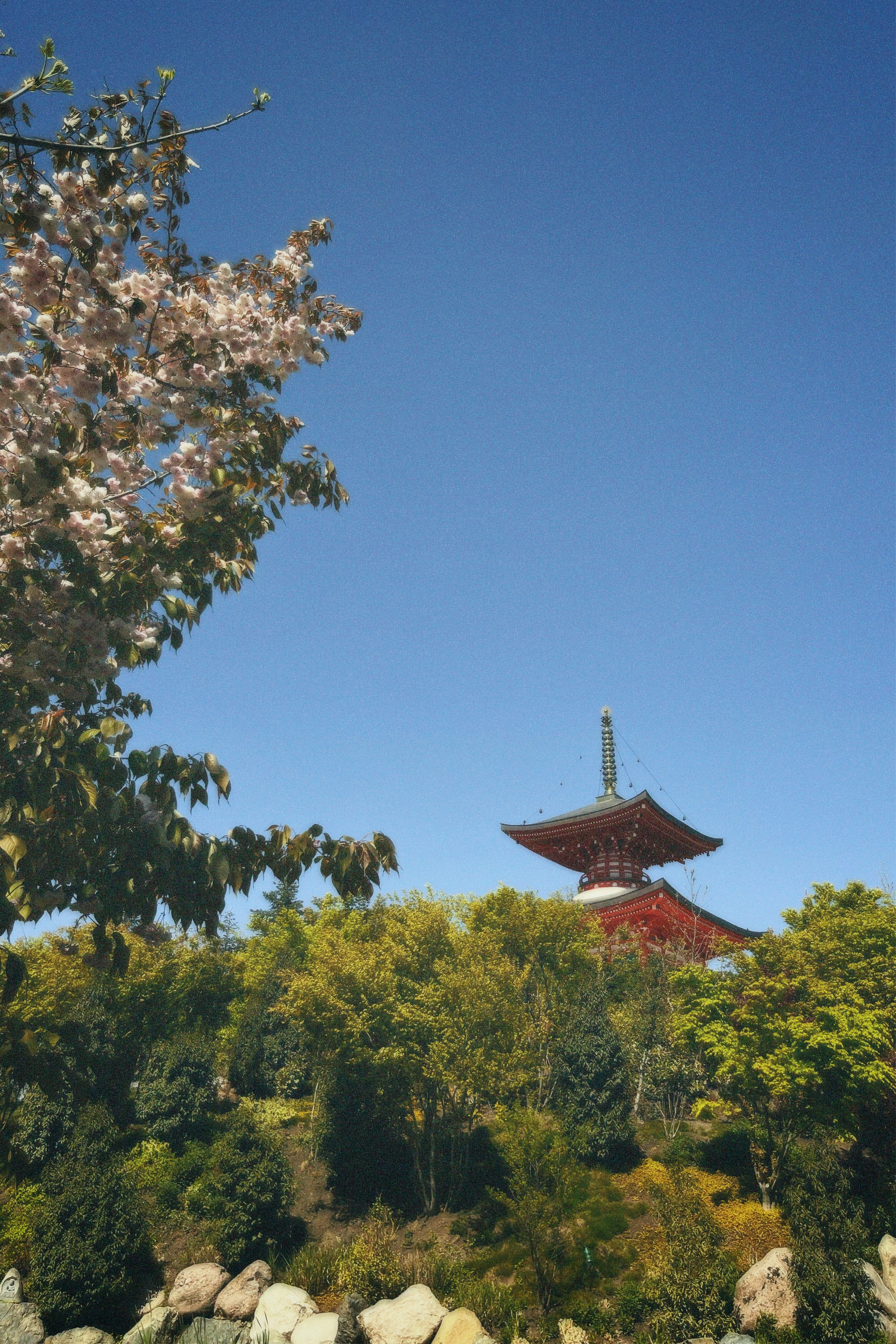 КРАСНОДАР. Портретный и лавстори фотограф в Стерлитамаке Альбина Шарт