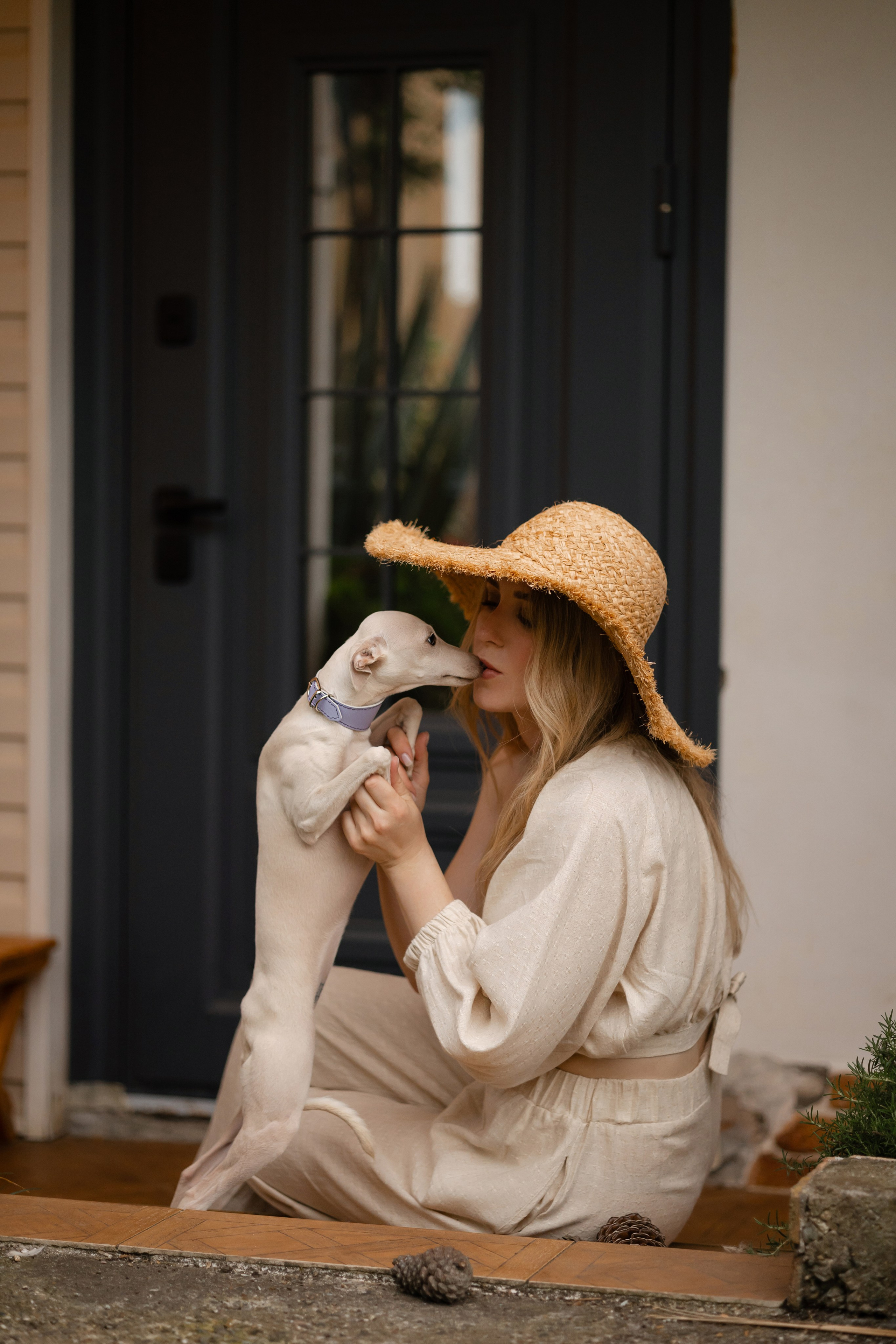 Asti Sapphire Yaasiina Laysan Cerulian. Профессиональный питомник левреток РКФ/FCI ASTI SAPPHIRE 💎 Сочи|Санкт-Петербург