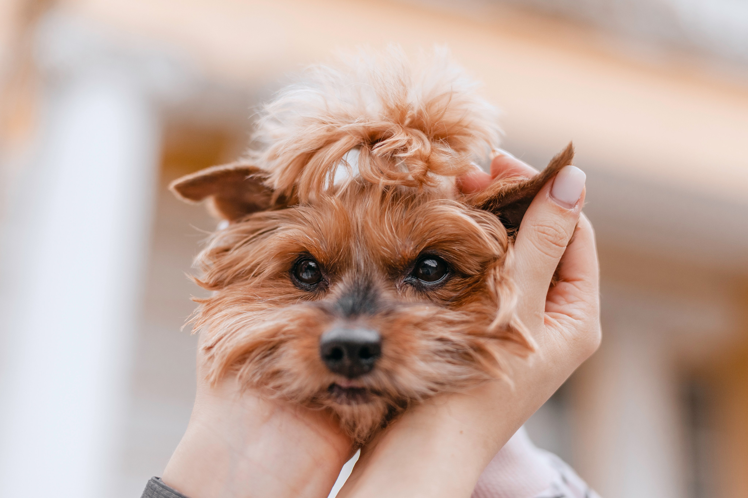 Катя и Моня. Фотограф-анималист Татьяна Степанова