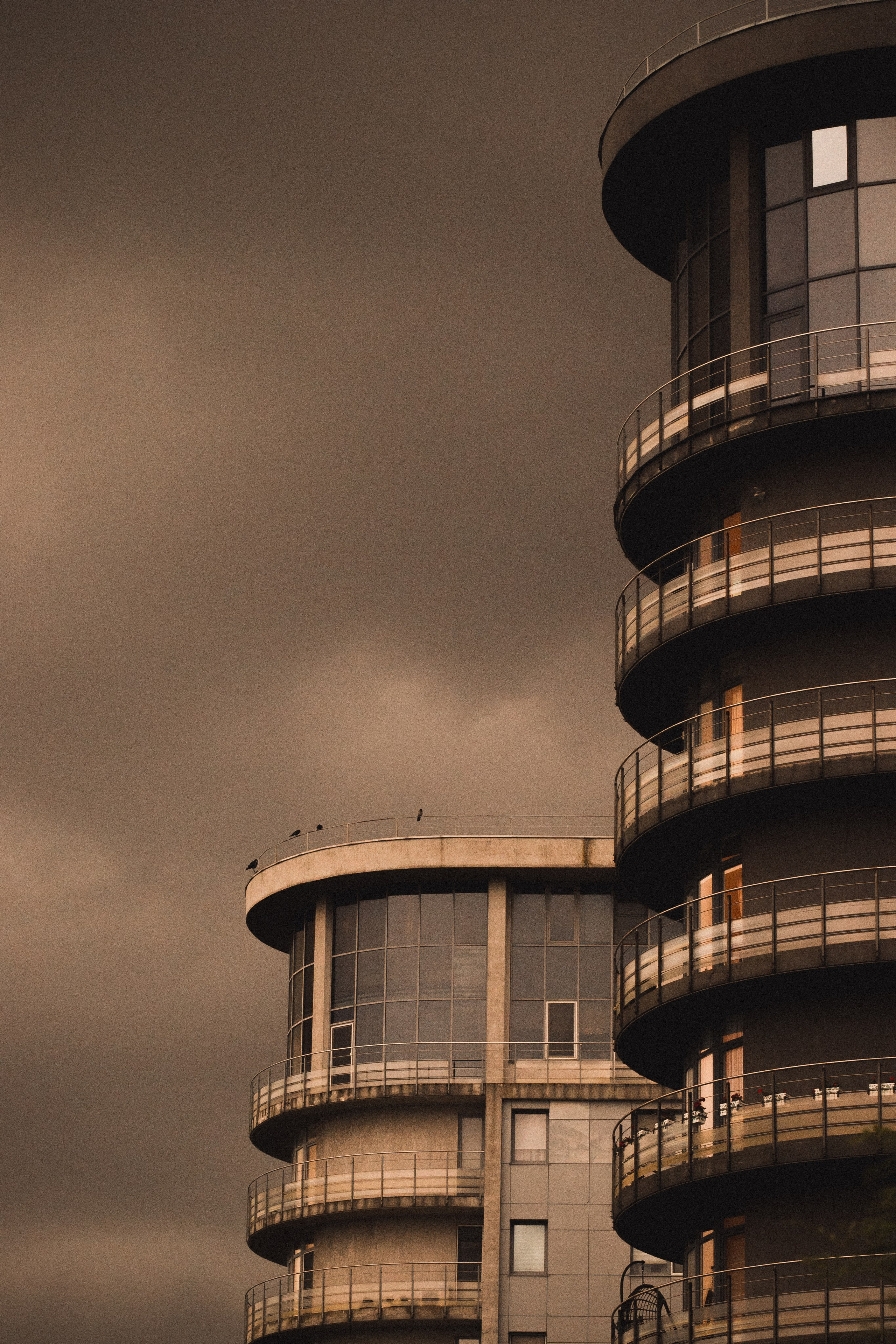 С Е П И Я. — Digital Noise —