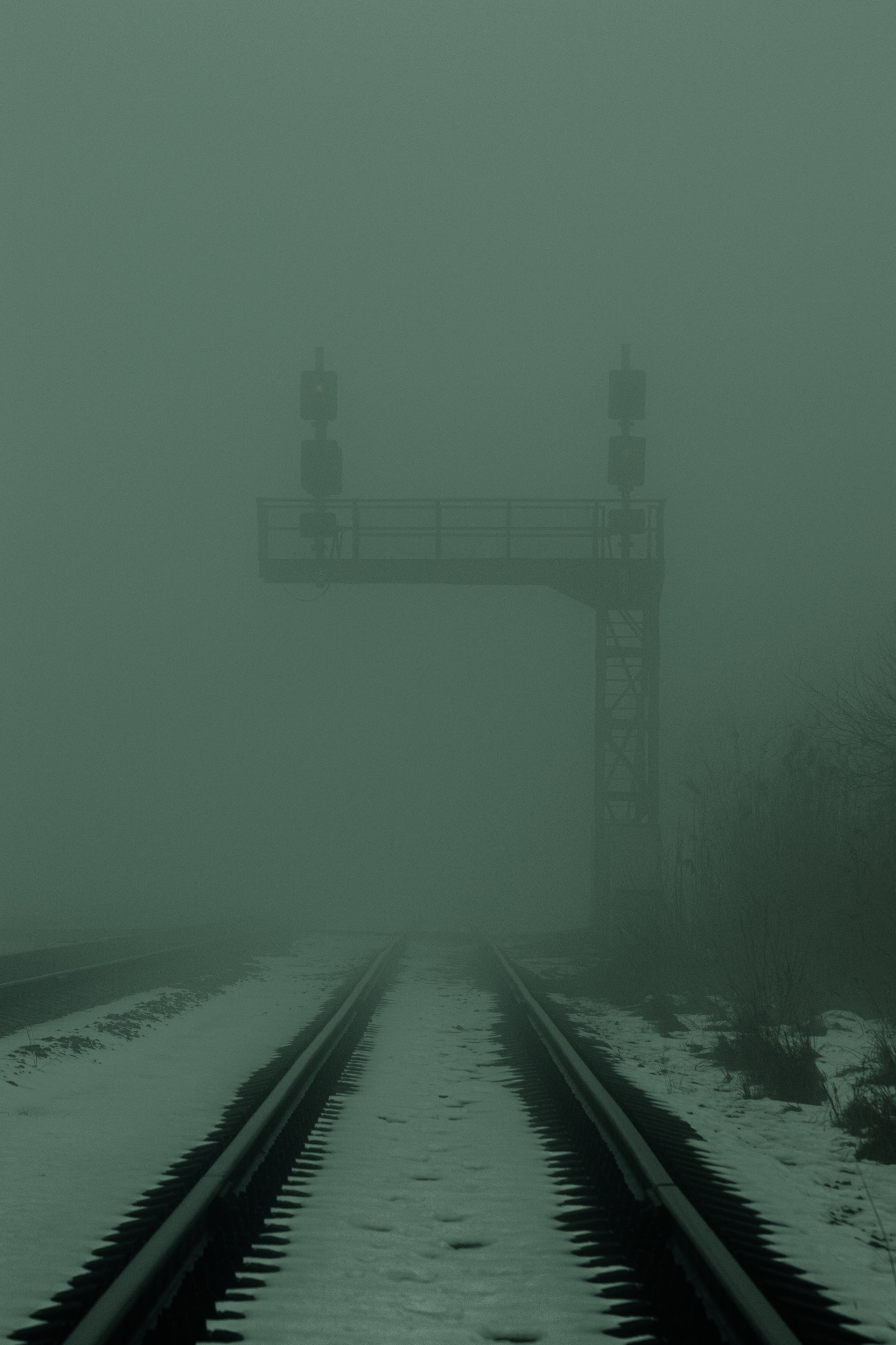 Т У М А Н. — Digital Noise —