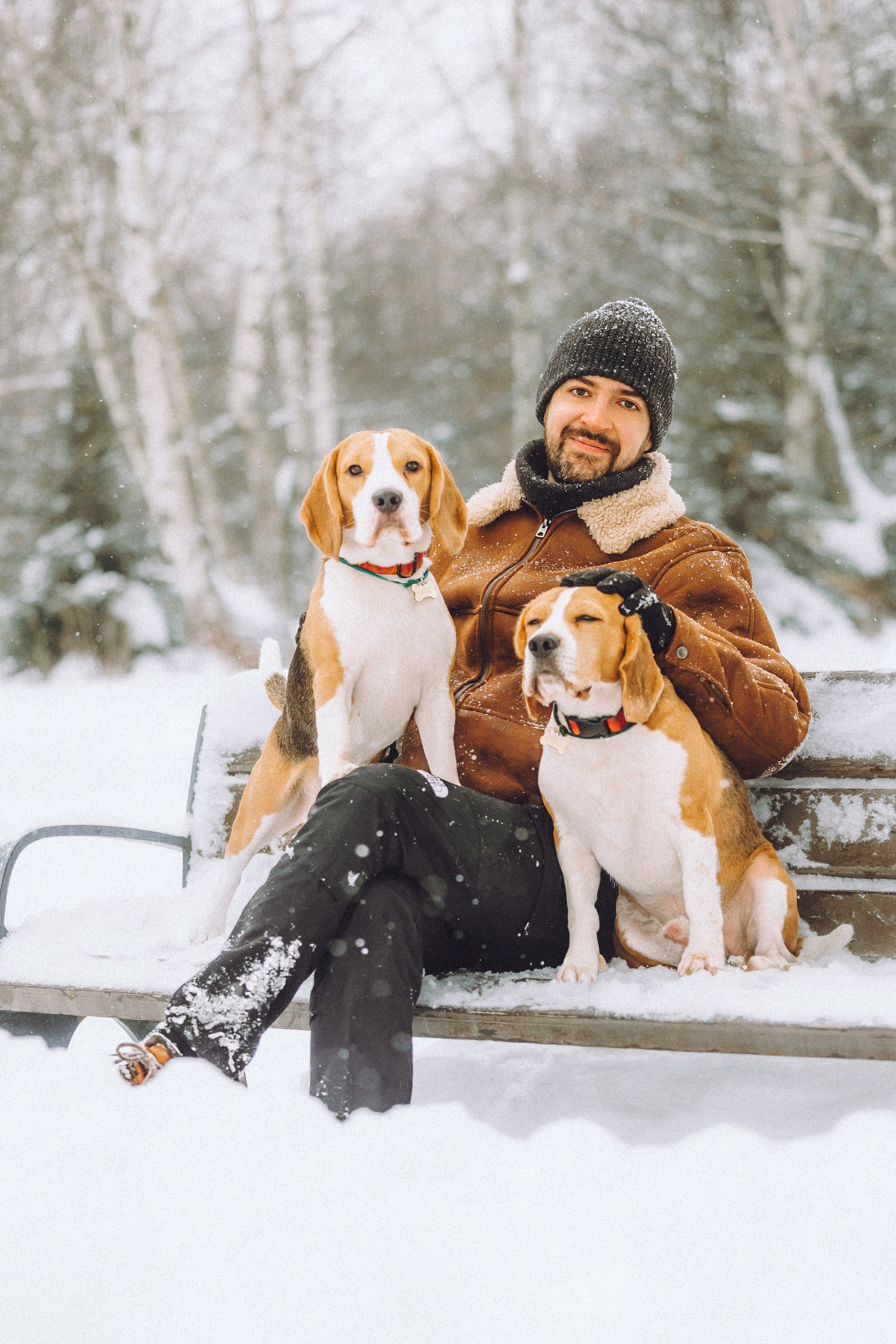 Роман, Портер и Коррес