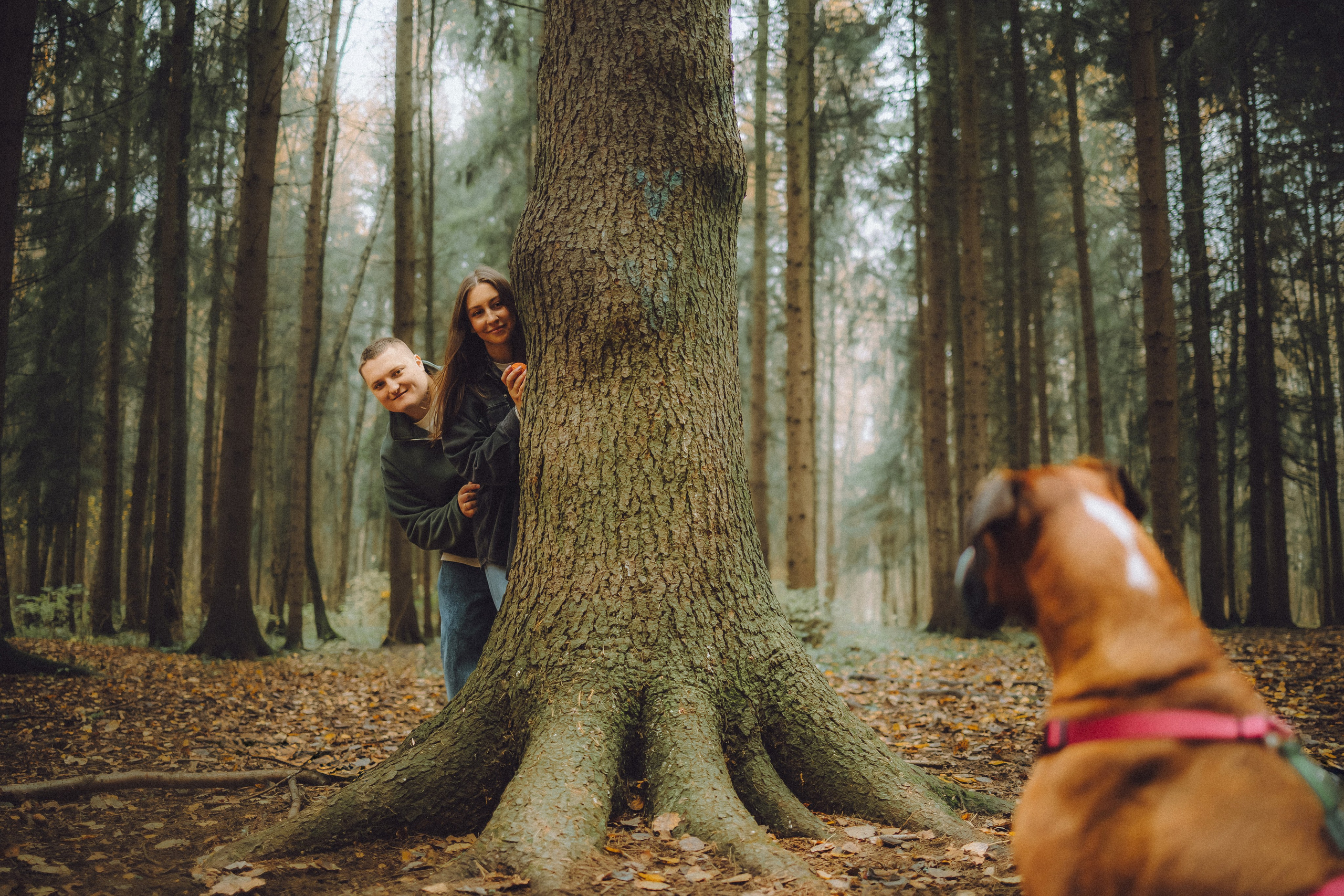 Элли и ее семья