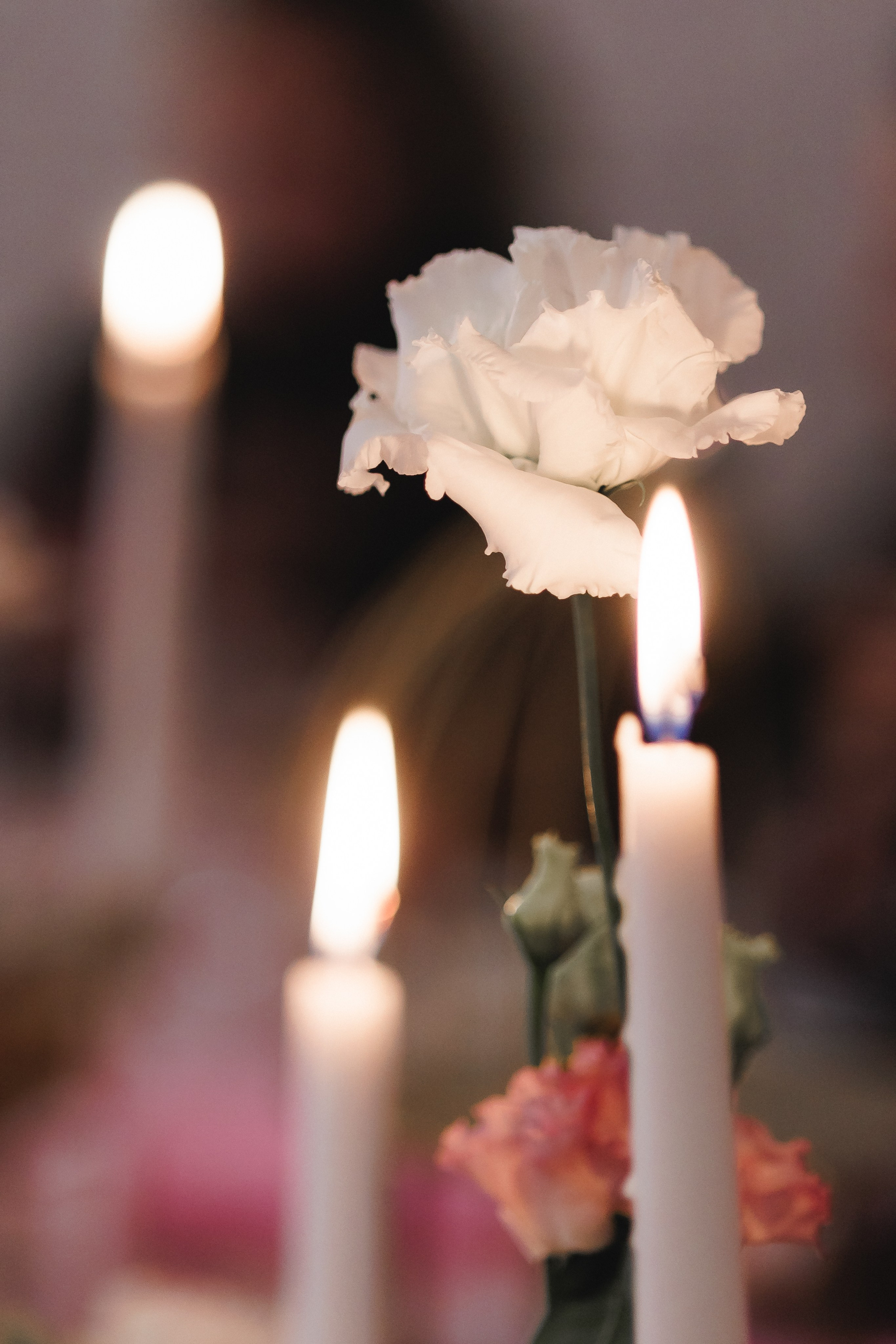 Pobedaname Party. Фотограф в Волгограде — Александра Искандерова