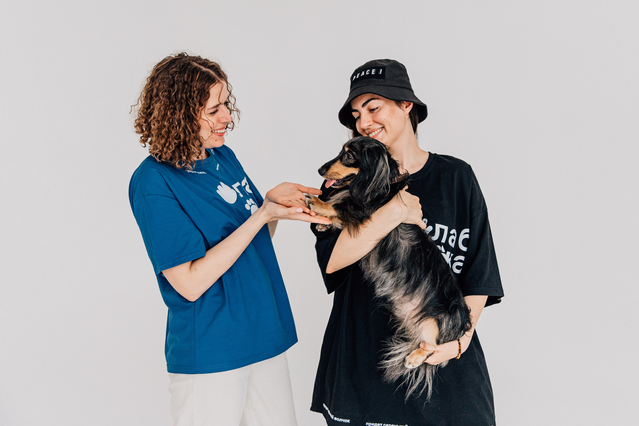 Лаборатория Канистерапии. Фотограф-анималист в Москве Соломонова Варвара