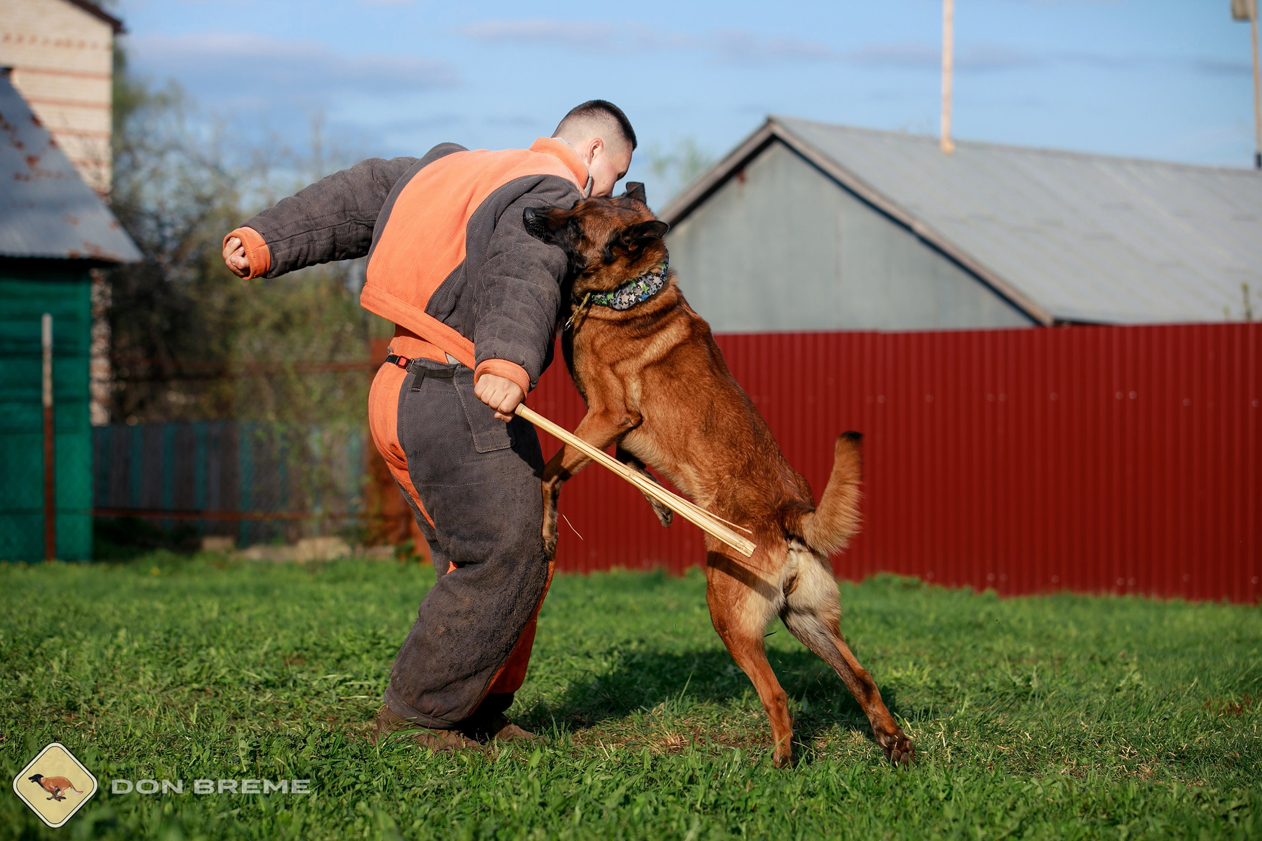 Семинар для фигурантов, день 2. Фотограф-анималист Mary Mart — Москва, Питер