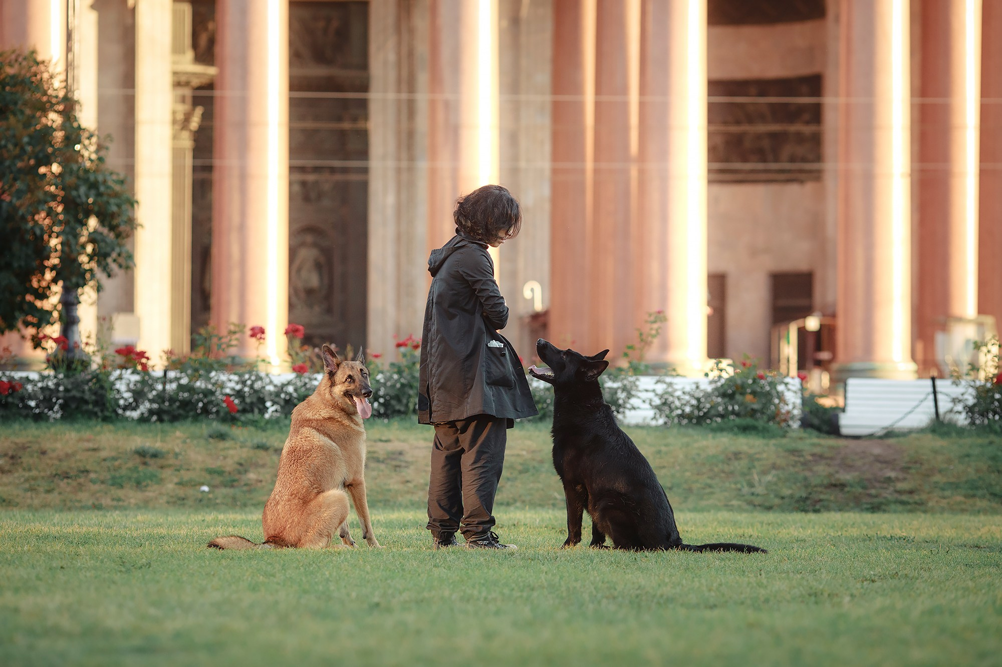 Алена, Кай и Мара. Фотограф-анималист Mary Mart — Москва, Питер