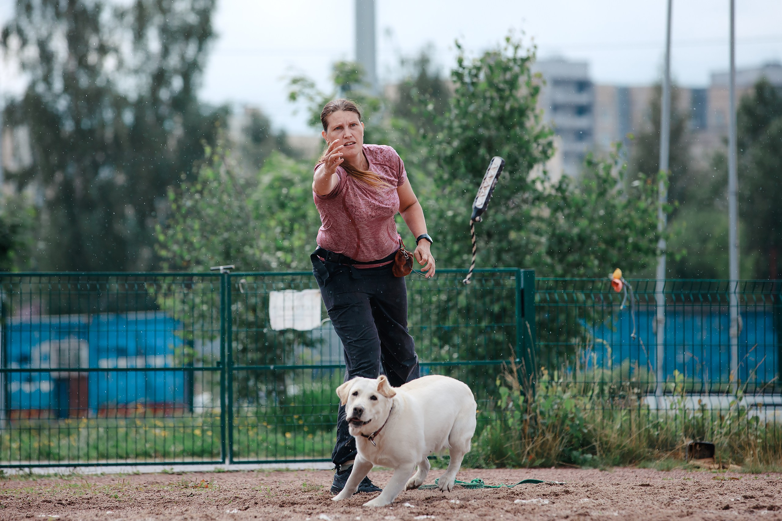 Питч&Гоу + веселые старты. Фотограф-анималист Mary Mart — Москва, Питер