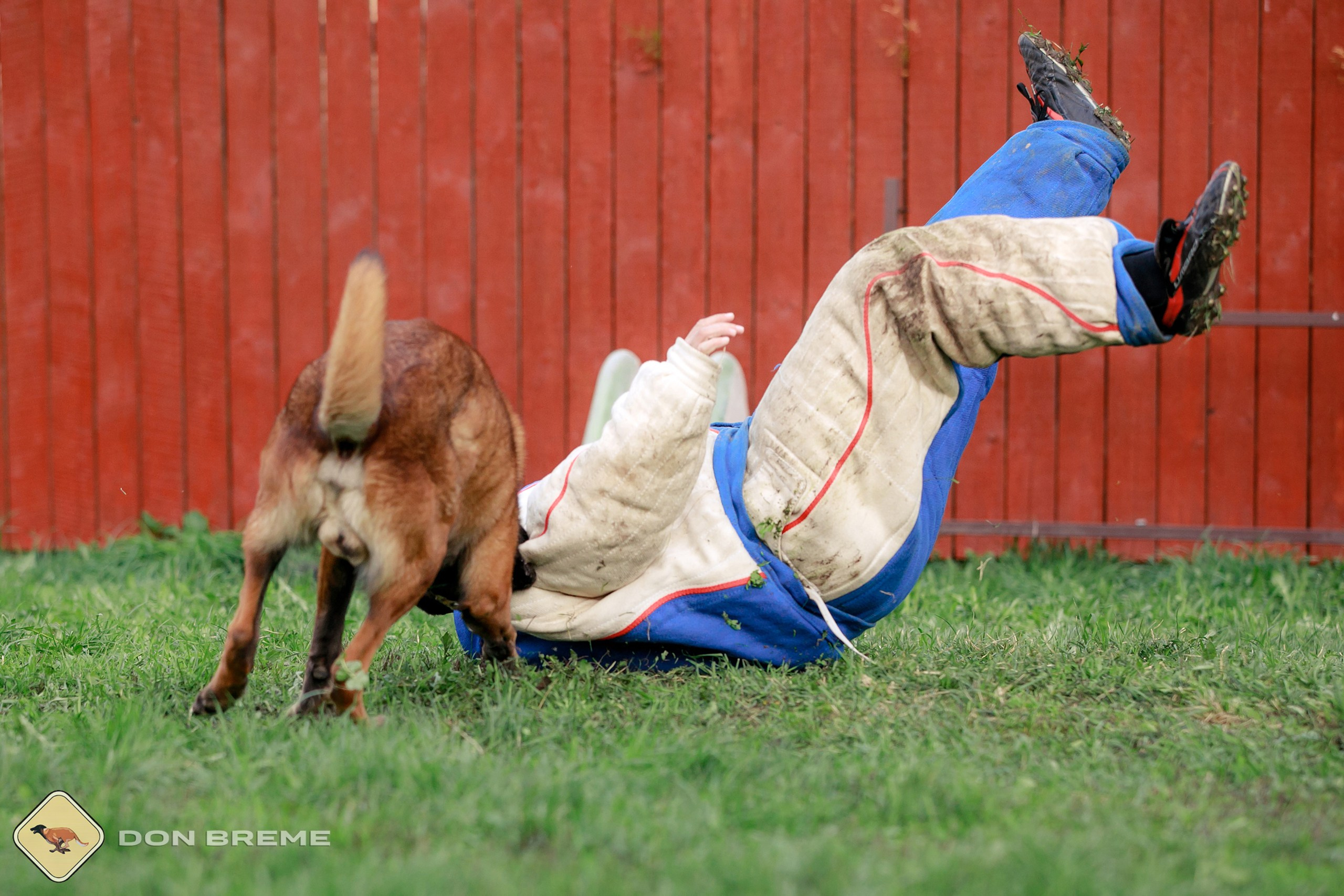 Семинар для фигурантов, день 2. Фотограф-анималист Mary Mart — Москва, Питер