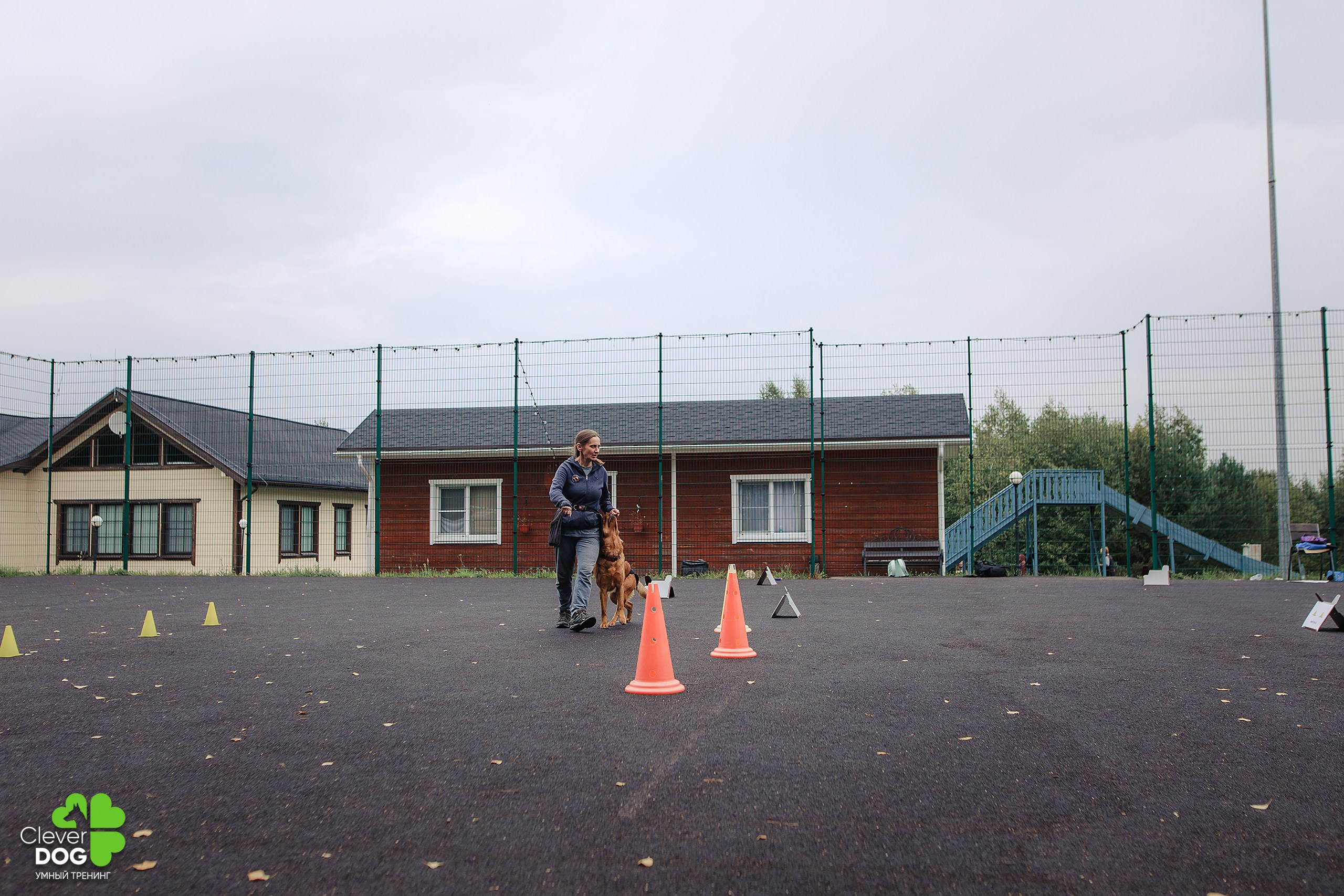 Кинологический лагерь CleverDog, 2024. Фотограф-анималист Mary Mart — Москва, Питер
