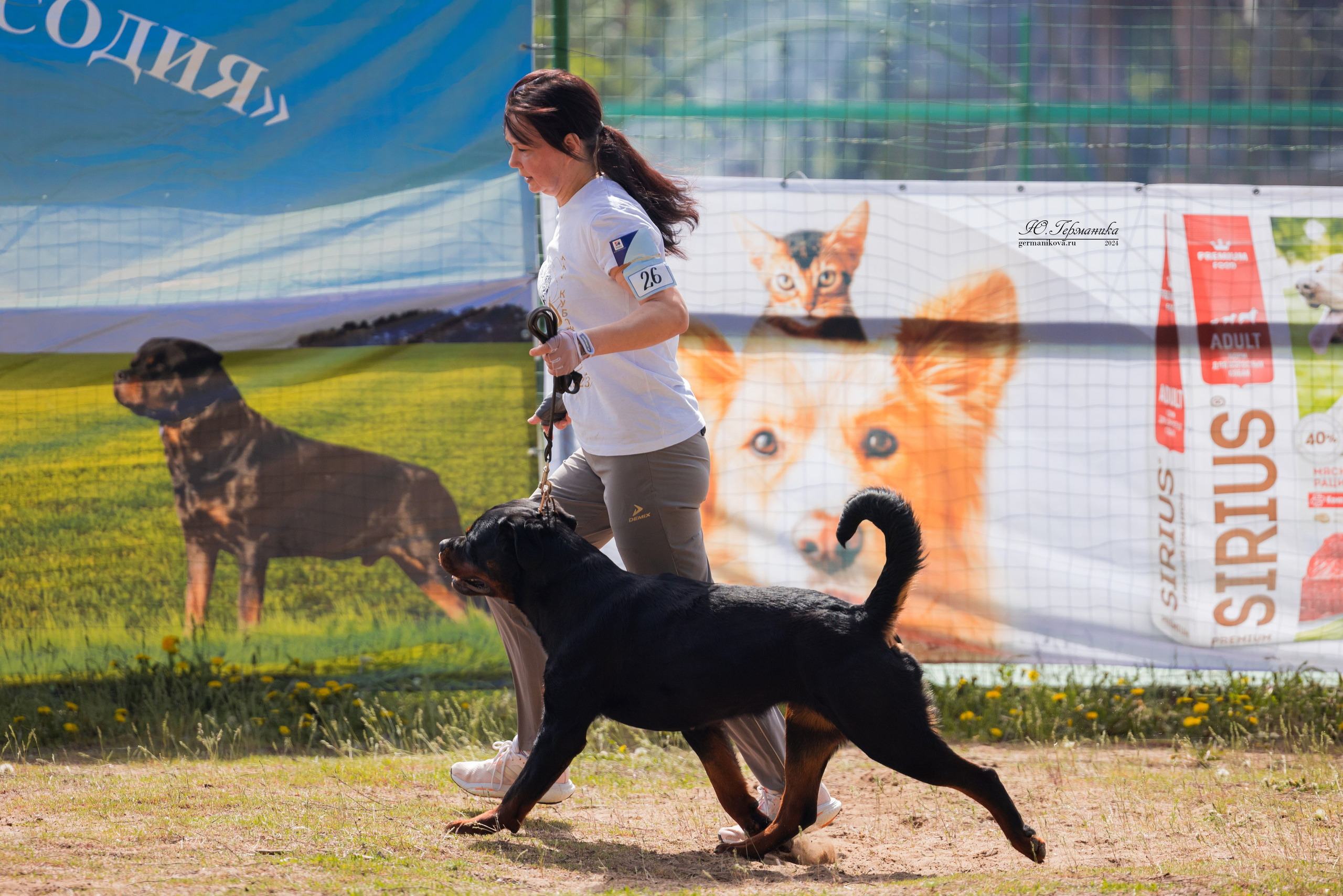 Саратов 2 х моно ротвейлеров 28-29.04.2024. Фотограф-анималист Юлия Германика