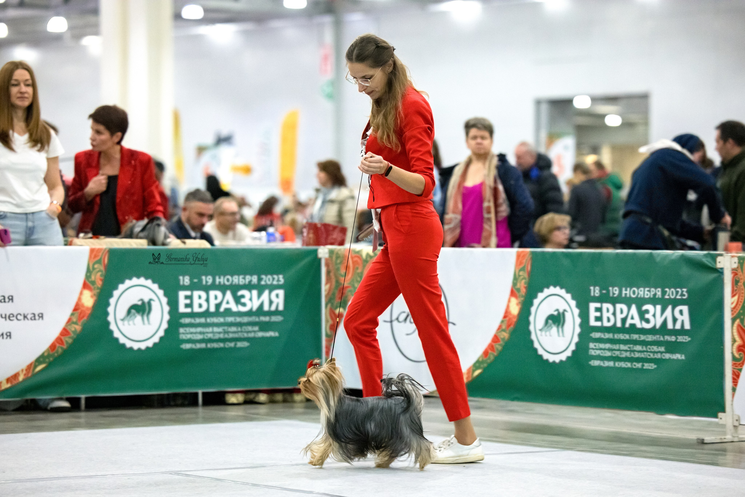 ЕВРАЗИЯ 18-19.11.2023. Фотограф-анималист Юлия Германика