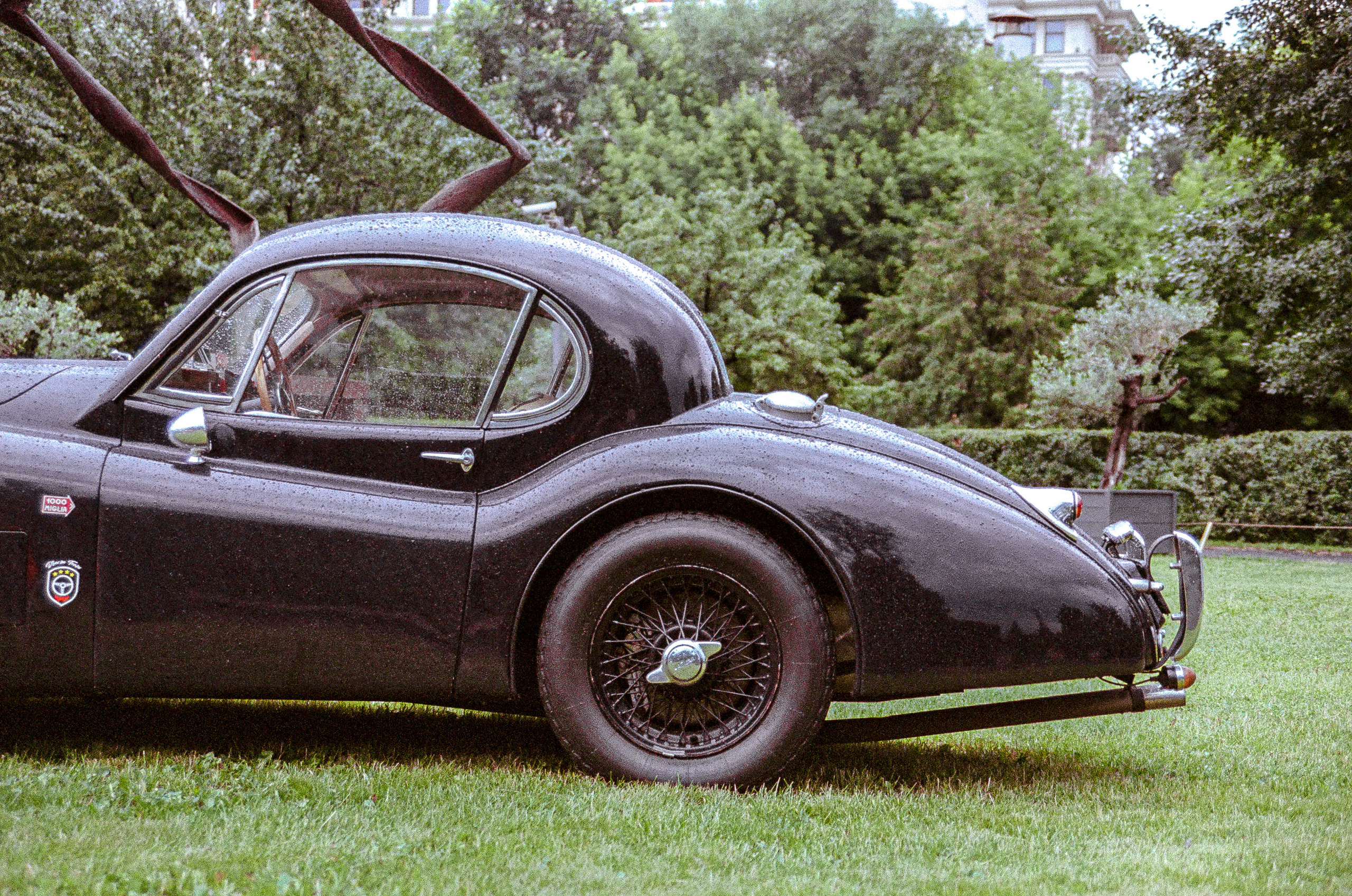 Фестиваль в музеоне с автомобилями. Жуков Илья  свадебный фотограф в Москве
