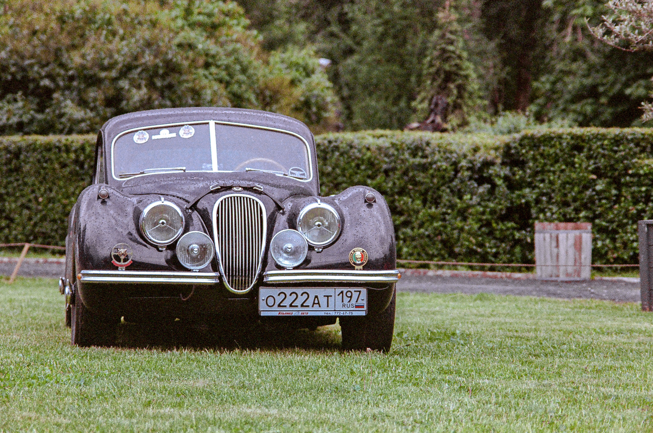 Фестиваль в музеоне с автомобилями. Жуков Илья  свадебный фотограф в Москве