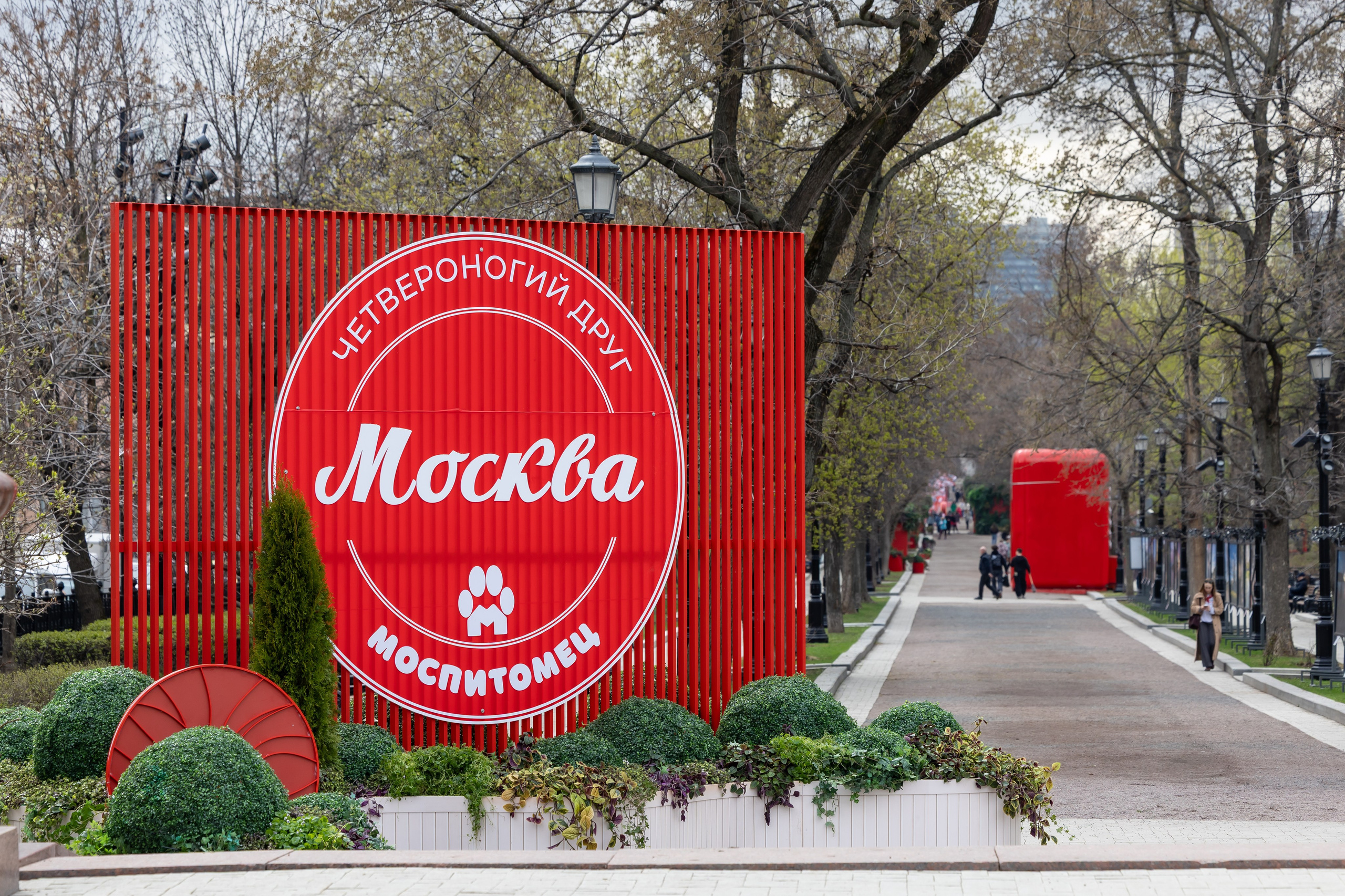 Проект «Моспитомец» на Тверском бульваре. Фотограф Владимир Охрименко