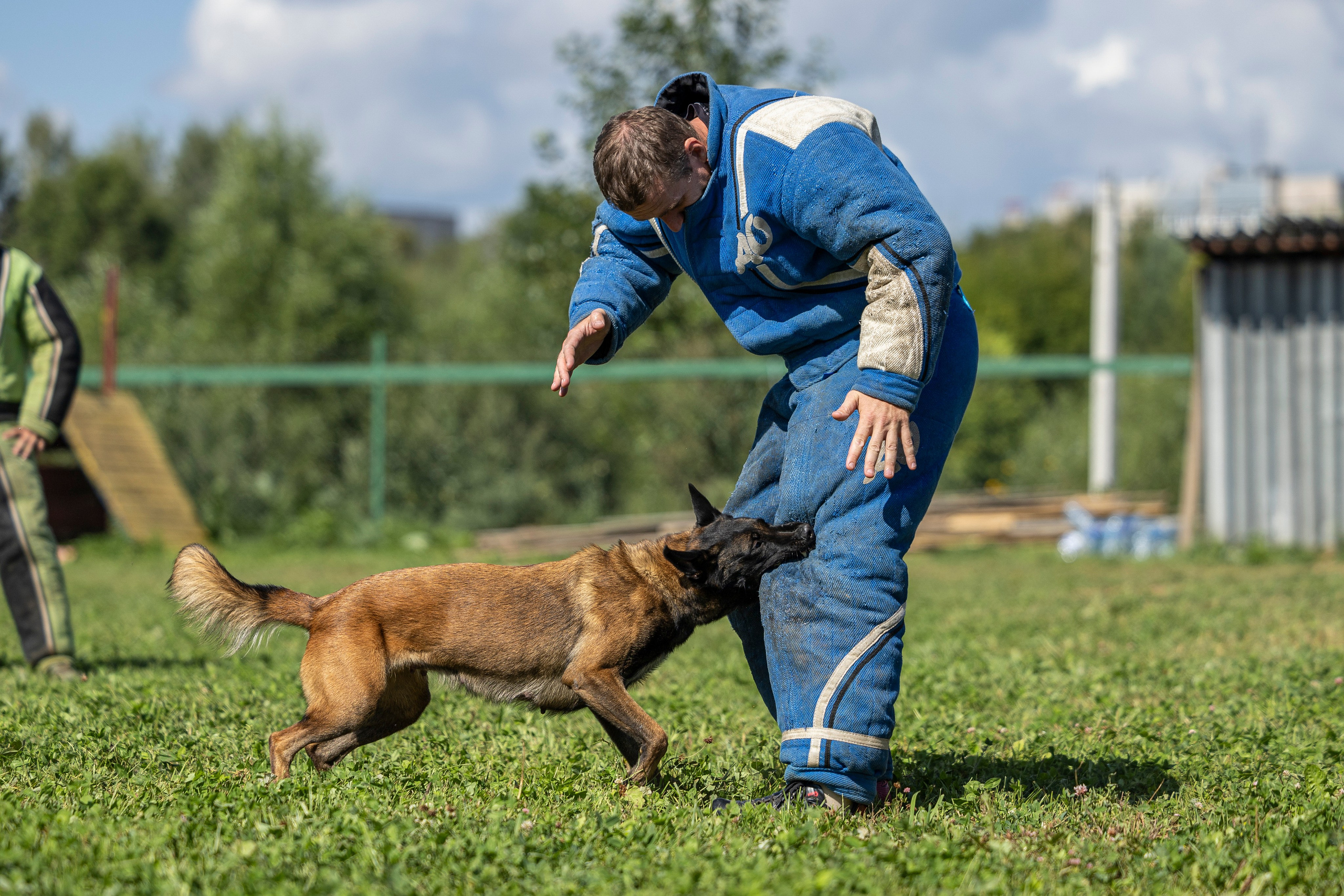 Соревнования по Мондьорингу г. Вологда 10-11.08.2024. Фотограф-анималист Анна Маринич